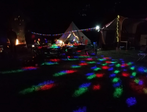 To Sherwood Forest We Go