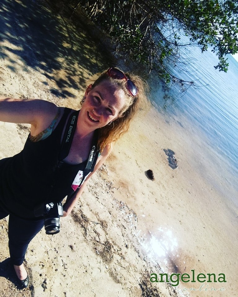 Back-to-Miami-for-Christmas-5_1