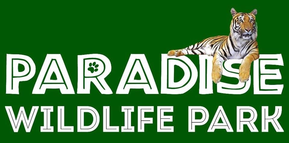 PWP-1-e1539894009291