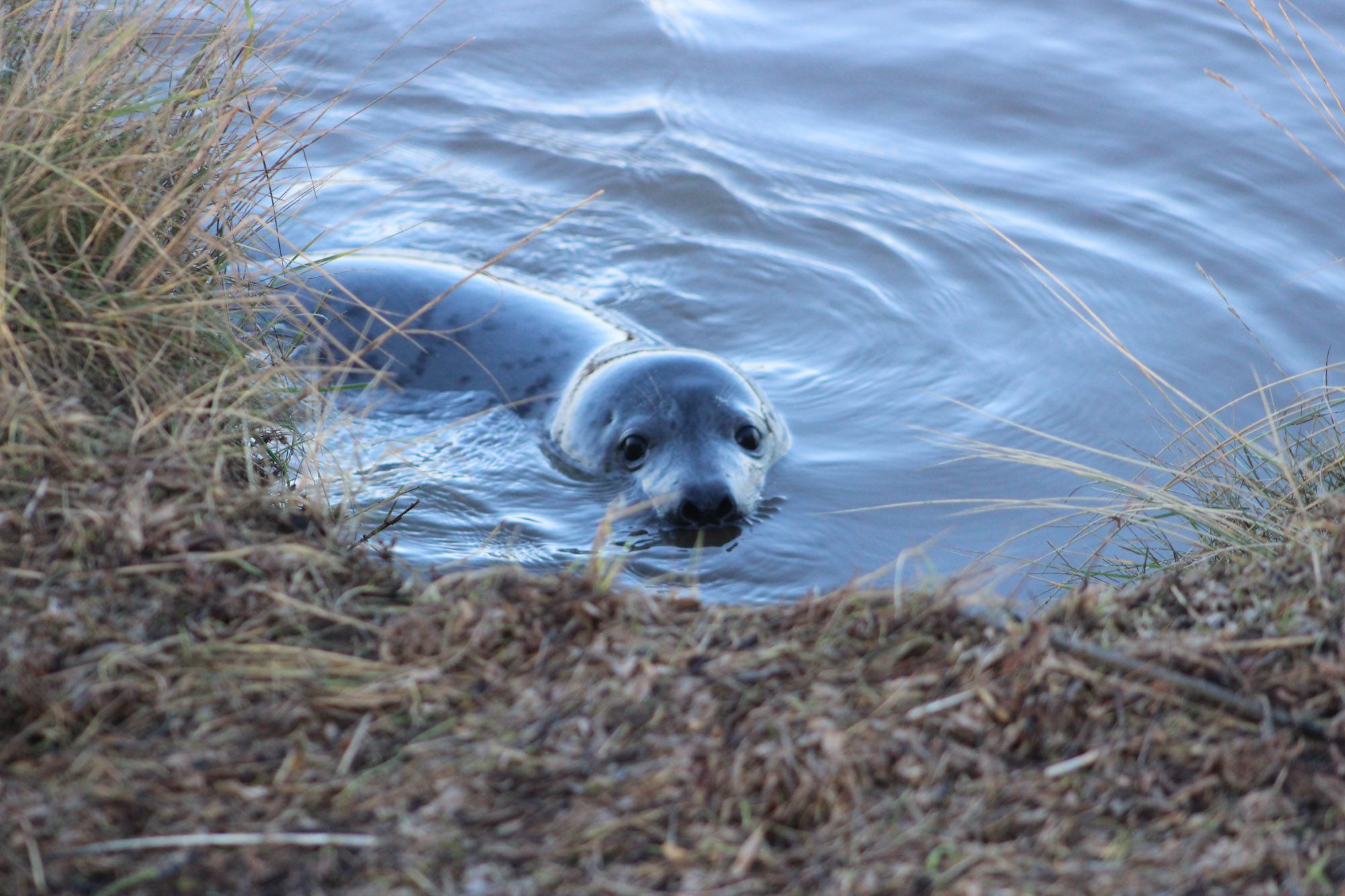 Blogs 2021 (21 of 244)