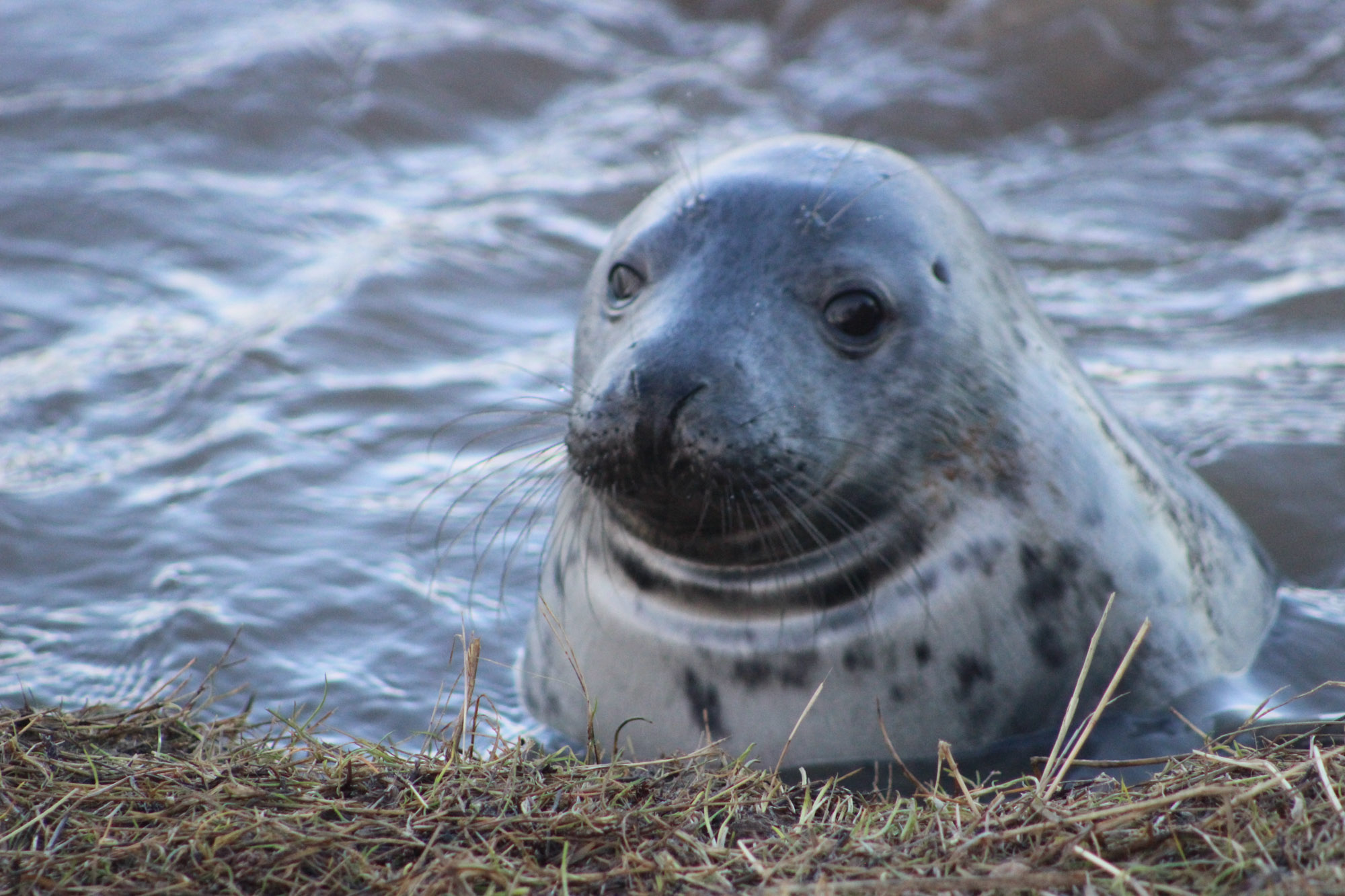 Blogs 2021 (22 of 244)