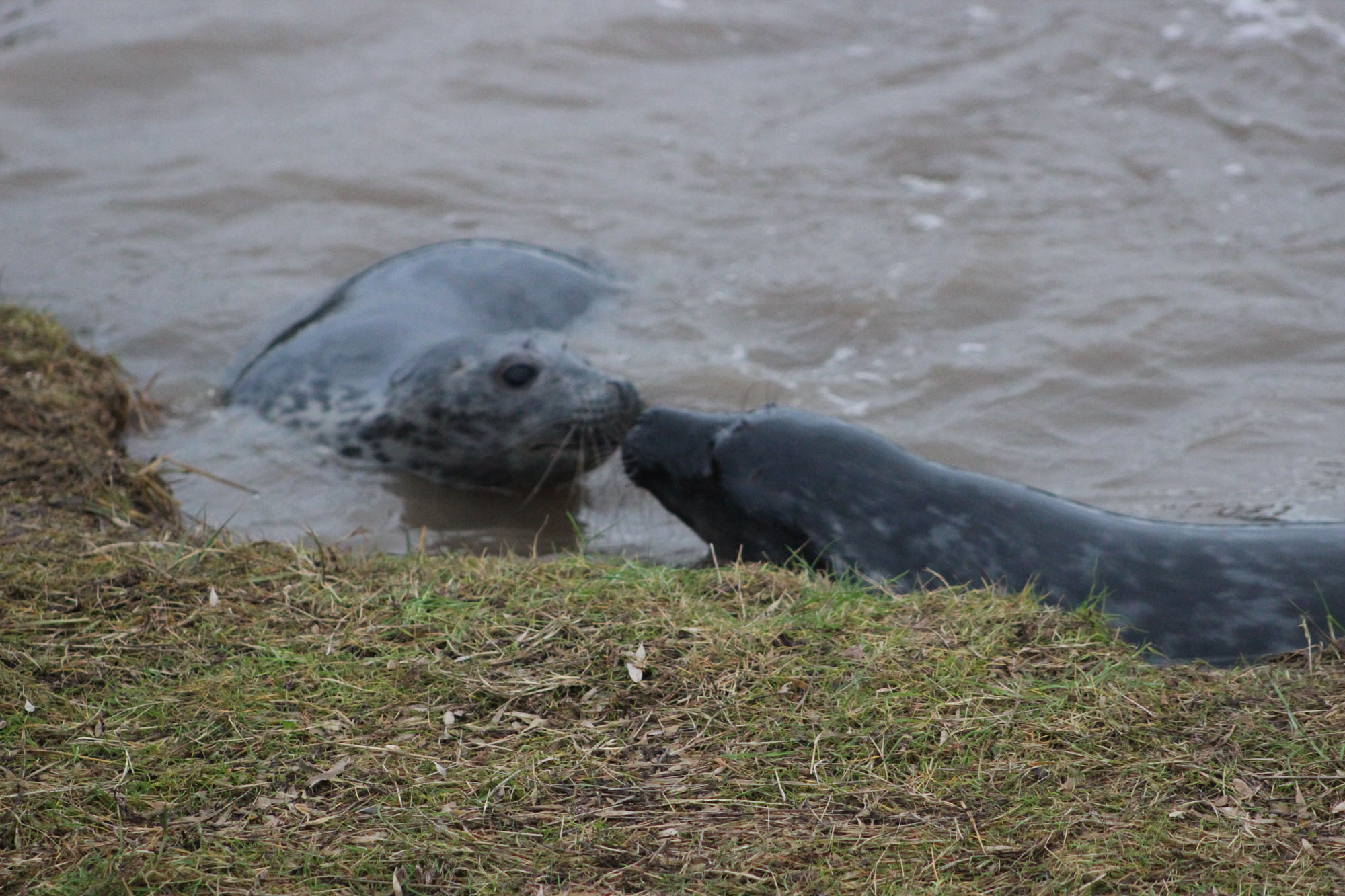 Blogs 2021 (25 of 244)