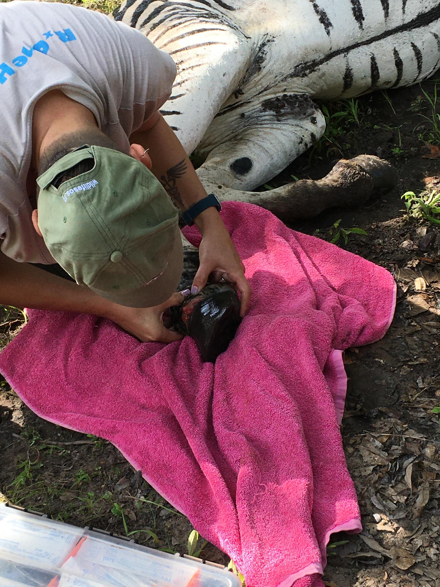 Blogs 2021 END (10 of 107)