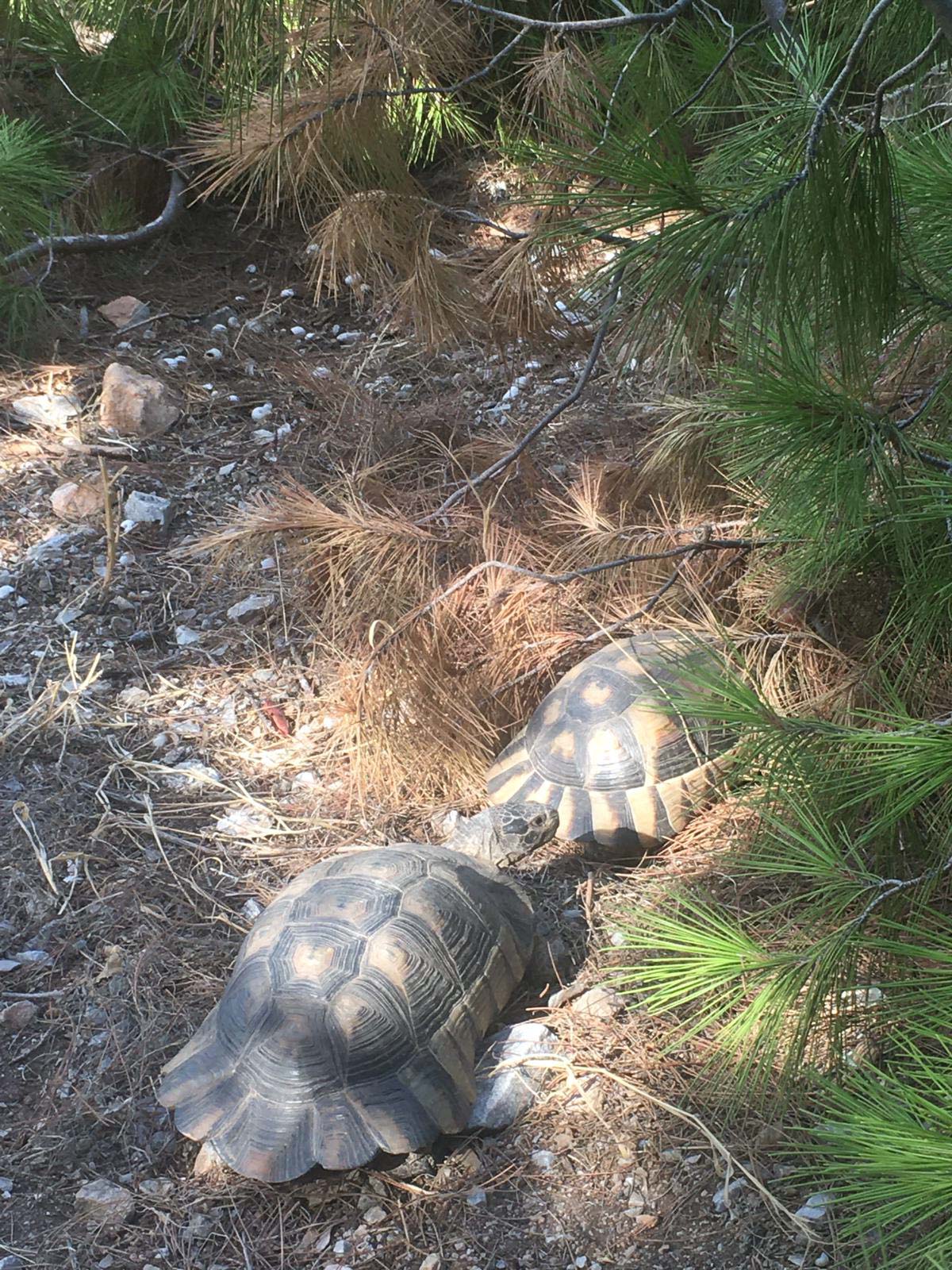 Blogs 2021 END (24 of 107)