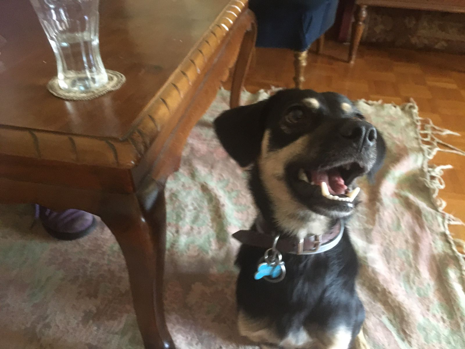 Blogs 2021 END (36 of 107)