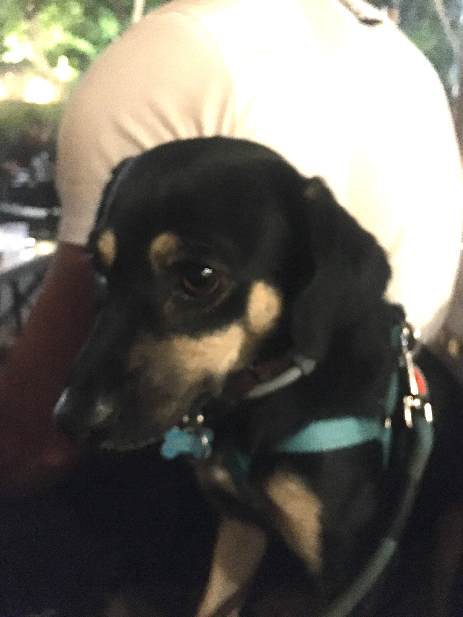 Blogs 2021 END (38 of 107)