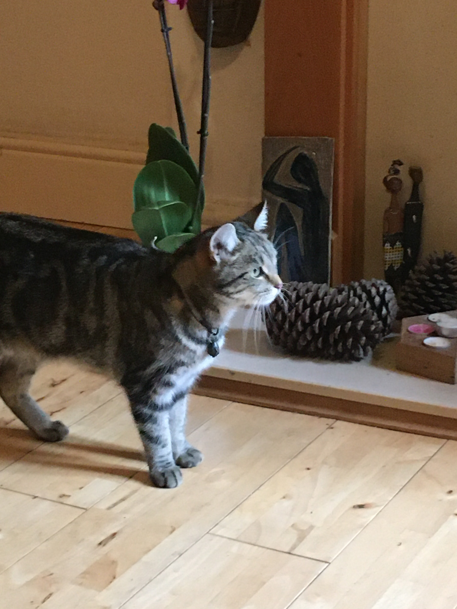 Blogs 2021 END (48 of 107)