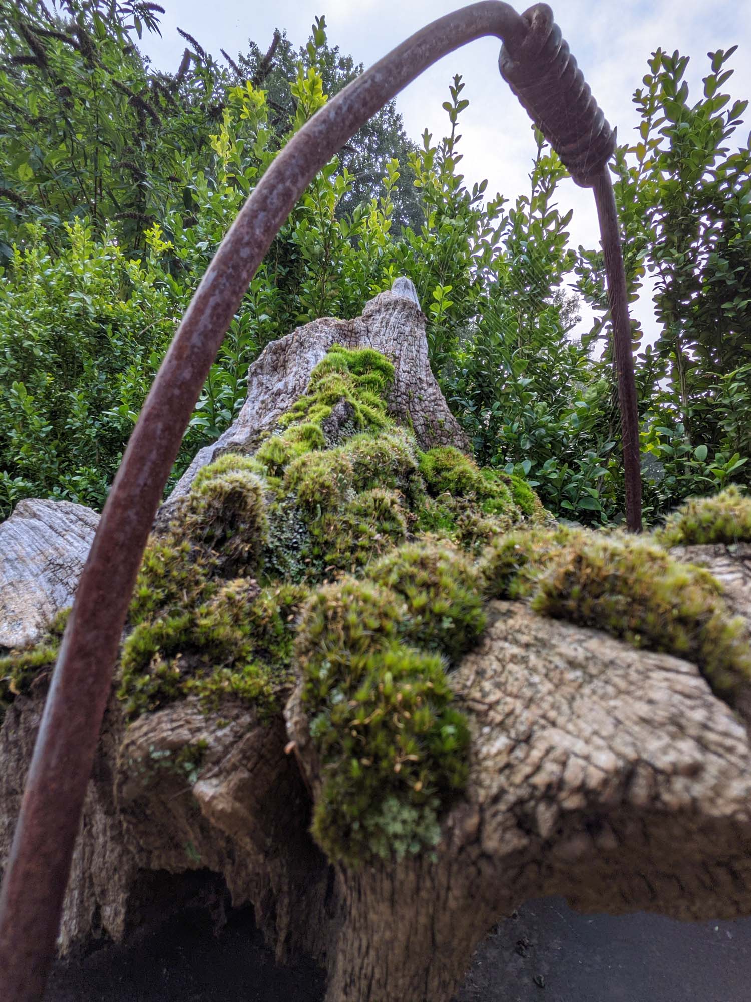 Blogs 2021 END (51 of 107)