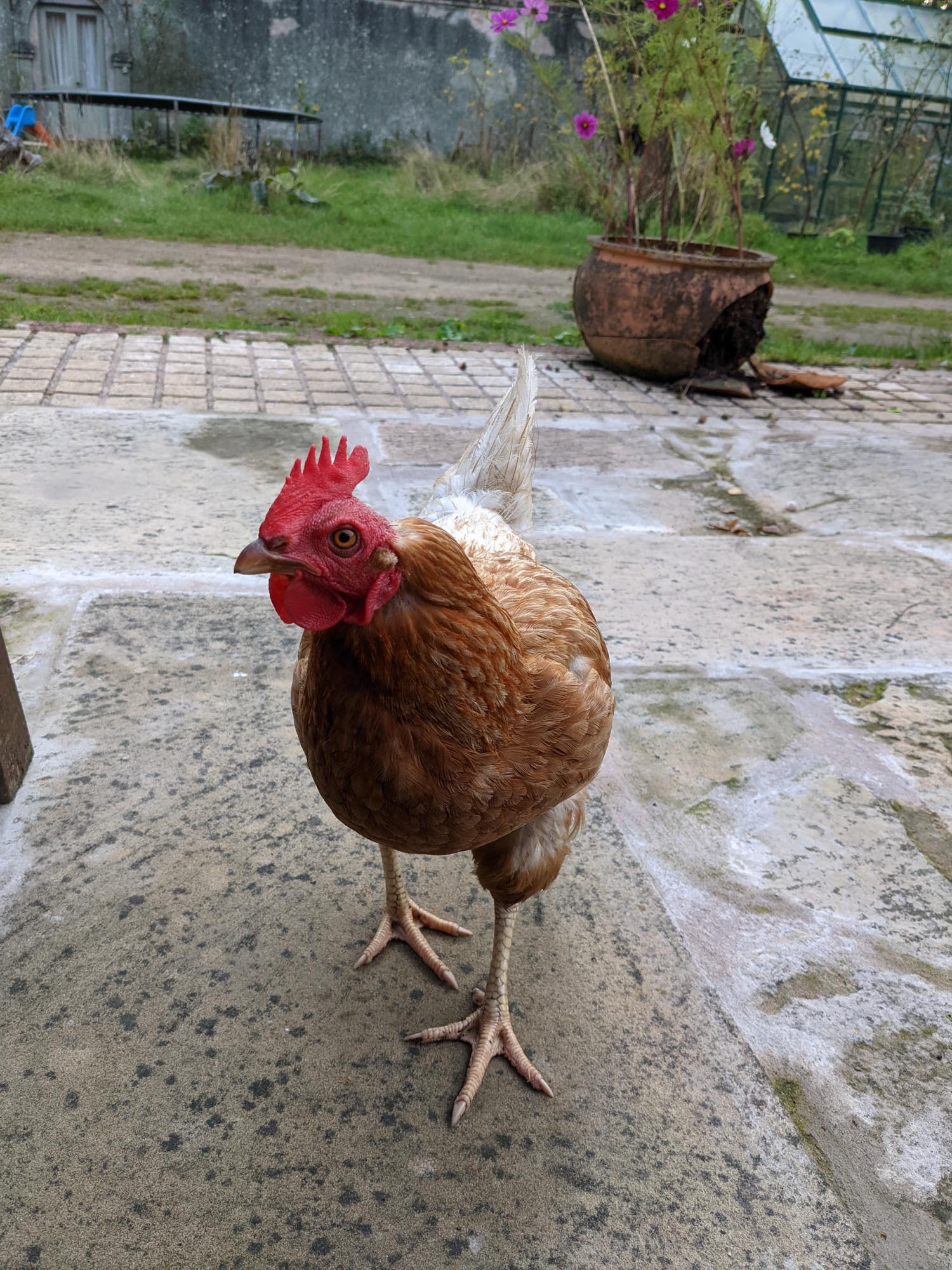 Blogs 2021 END (52 of 107)