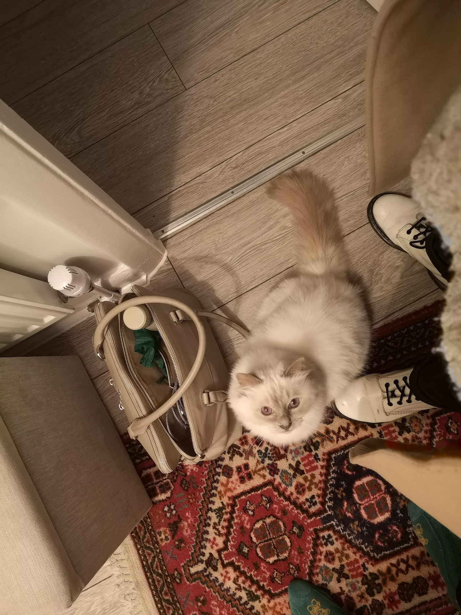 Blogs 2025 (11 of 245)