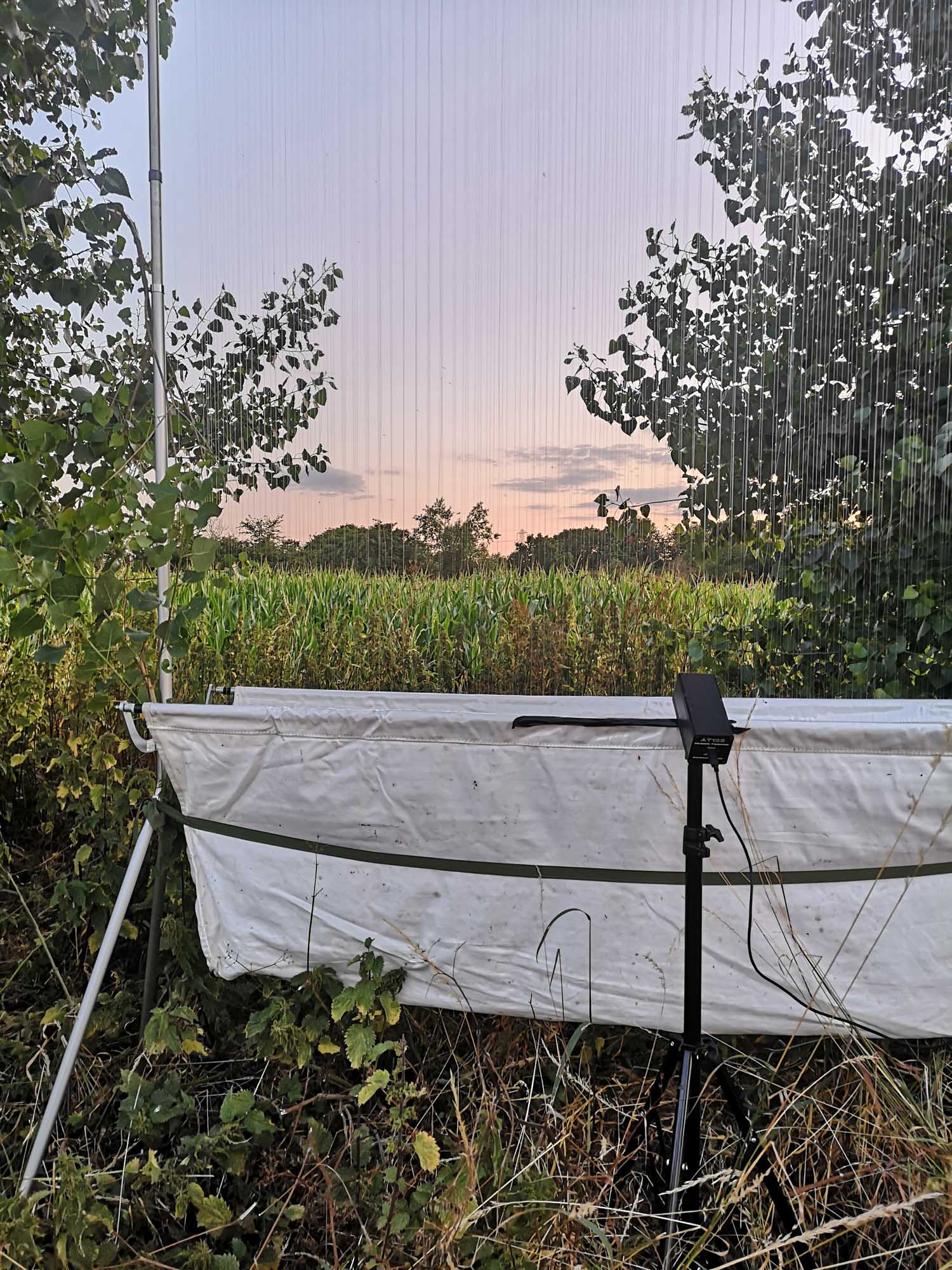 Blogs 2025 (113 of 245)