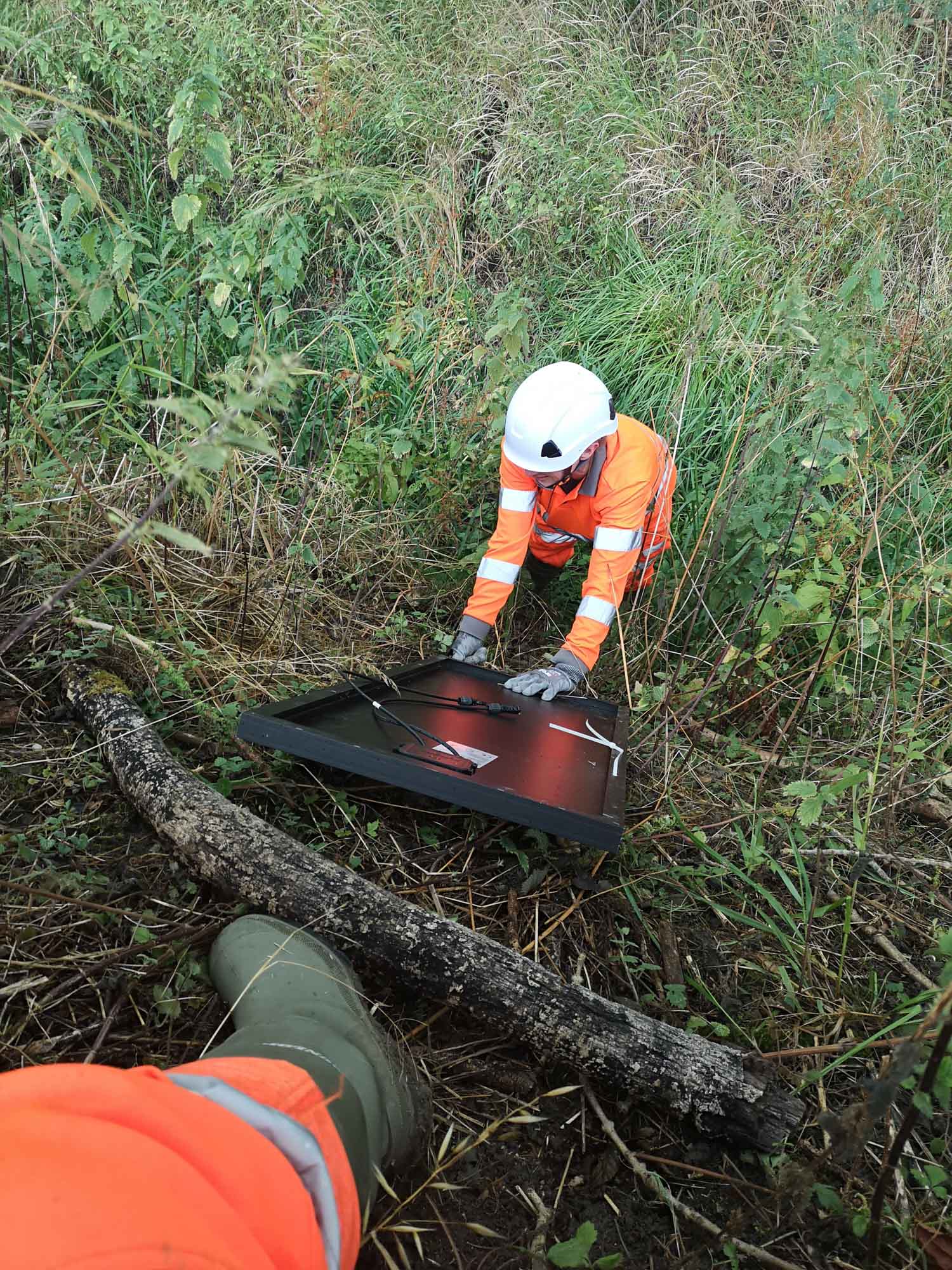 Blogs 2025 (123 of 245)