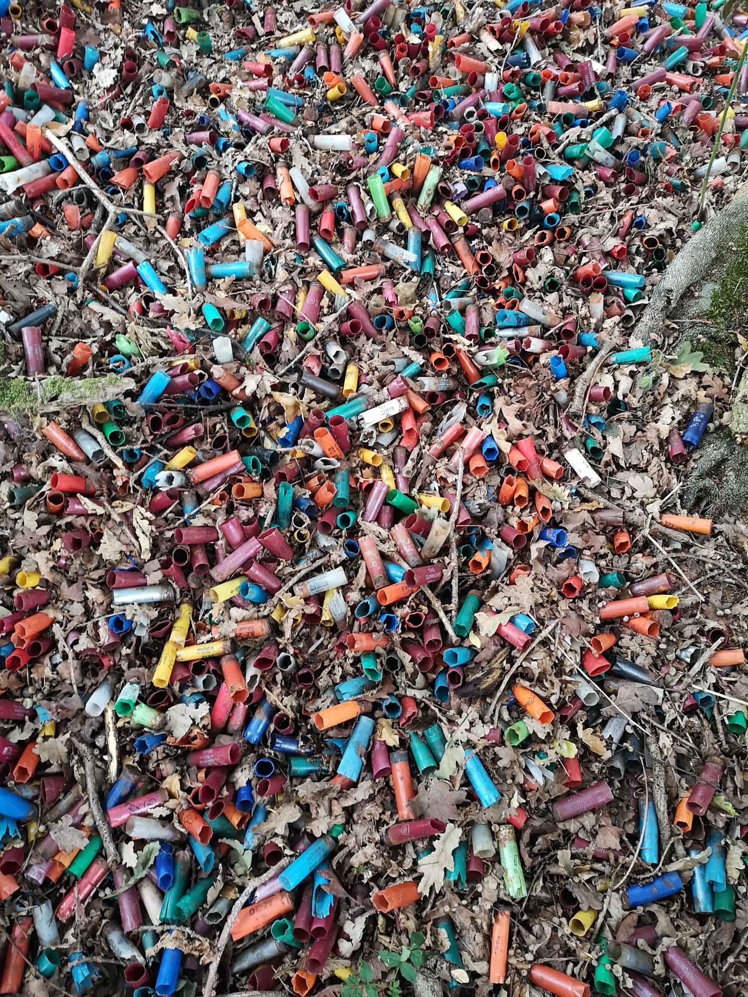 Blogs 2025 (125 of 245)