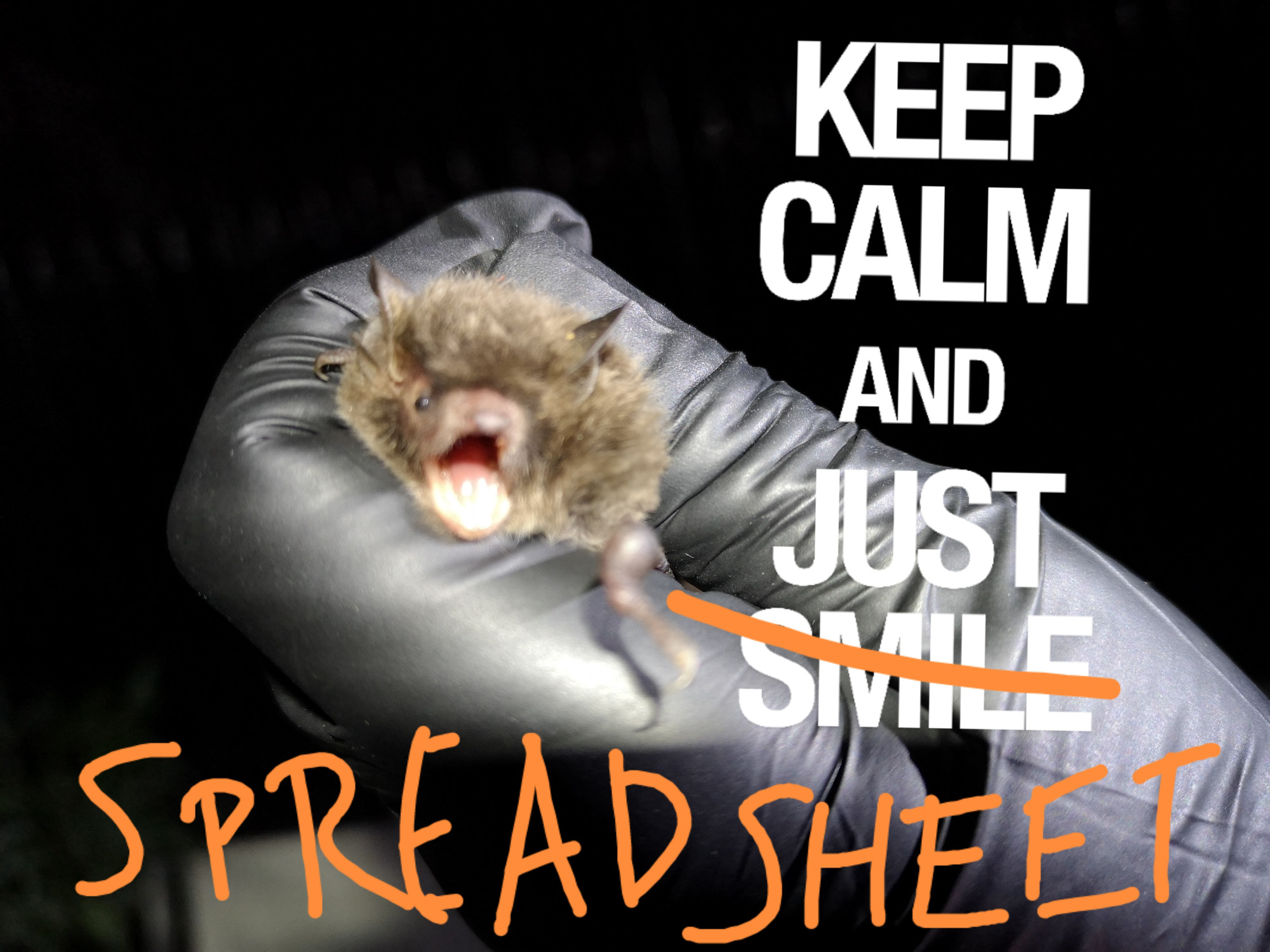 Blogs 2025 (126 of 245)