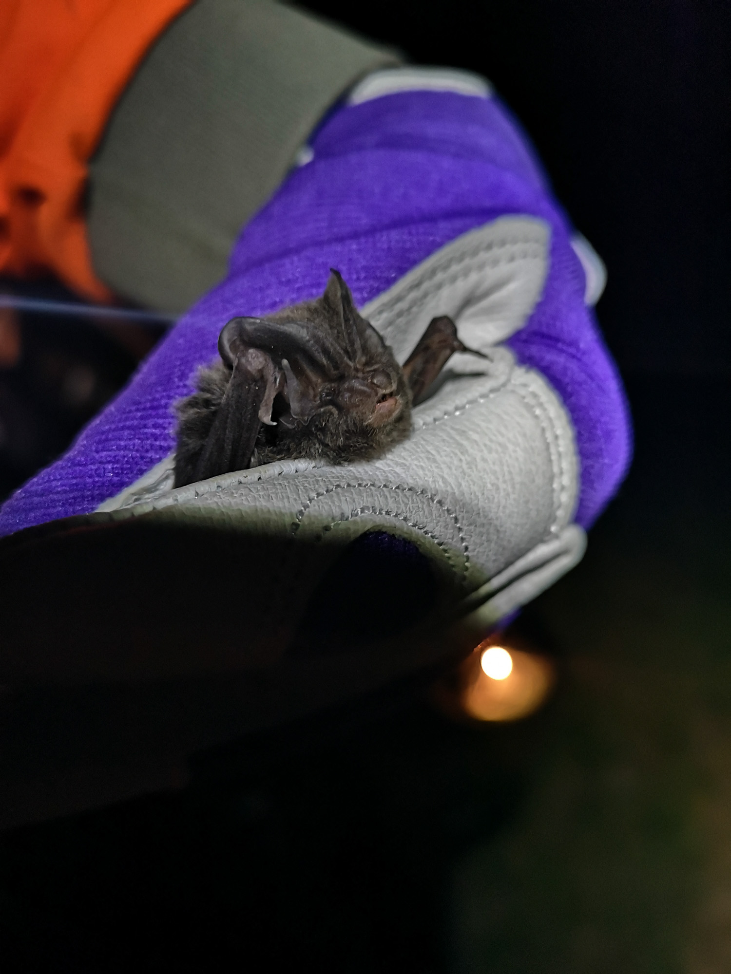 Blogs 2025 (129 of 245)