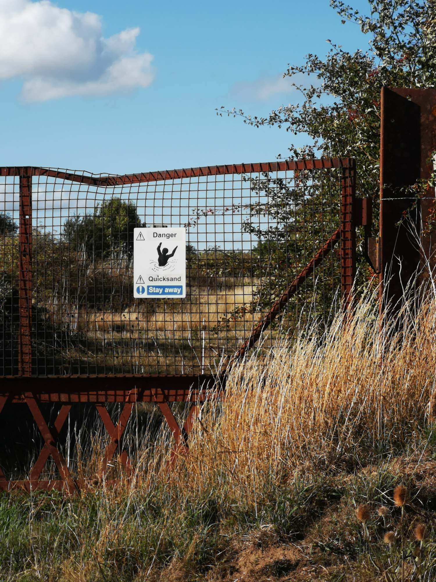 Blogs 2025 (134 of 245)