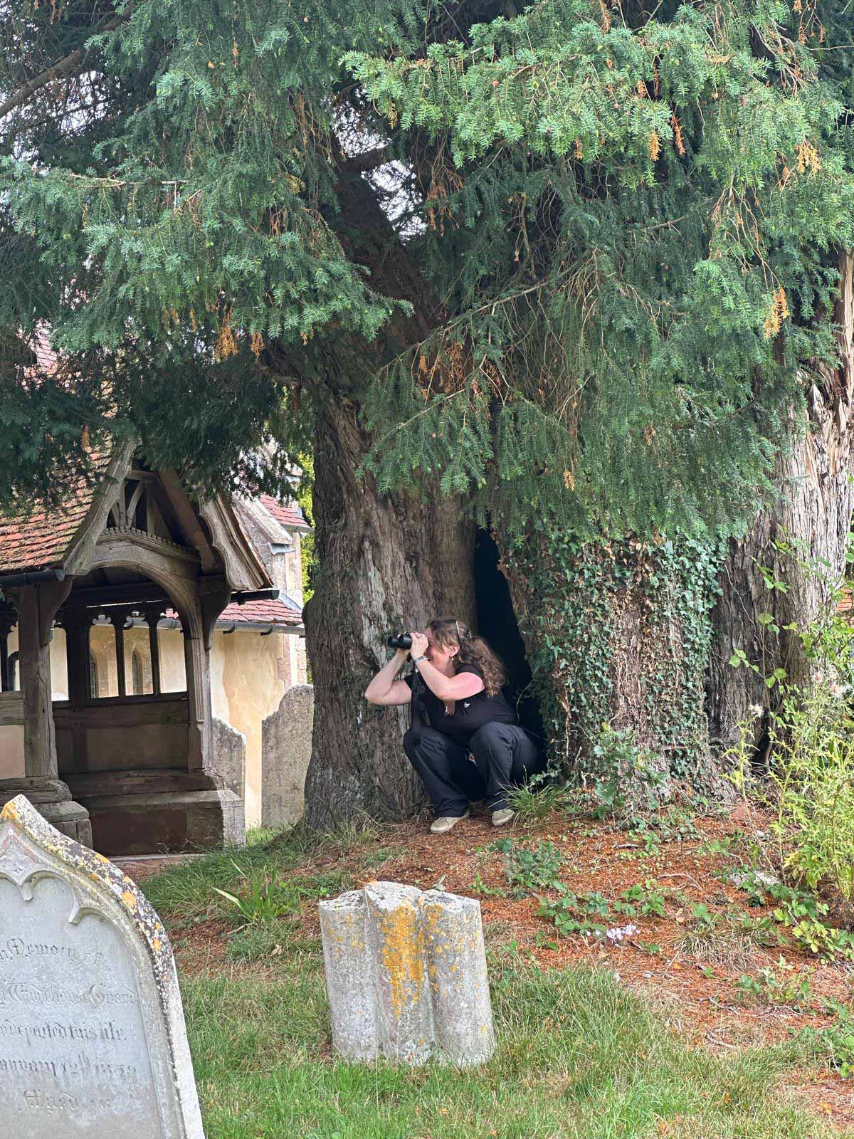 Blogs 2025 (136 of 245)