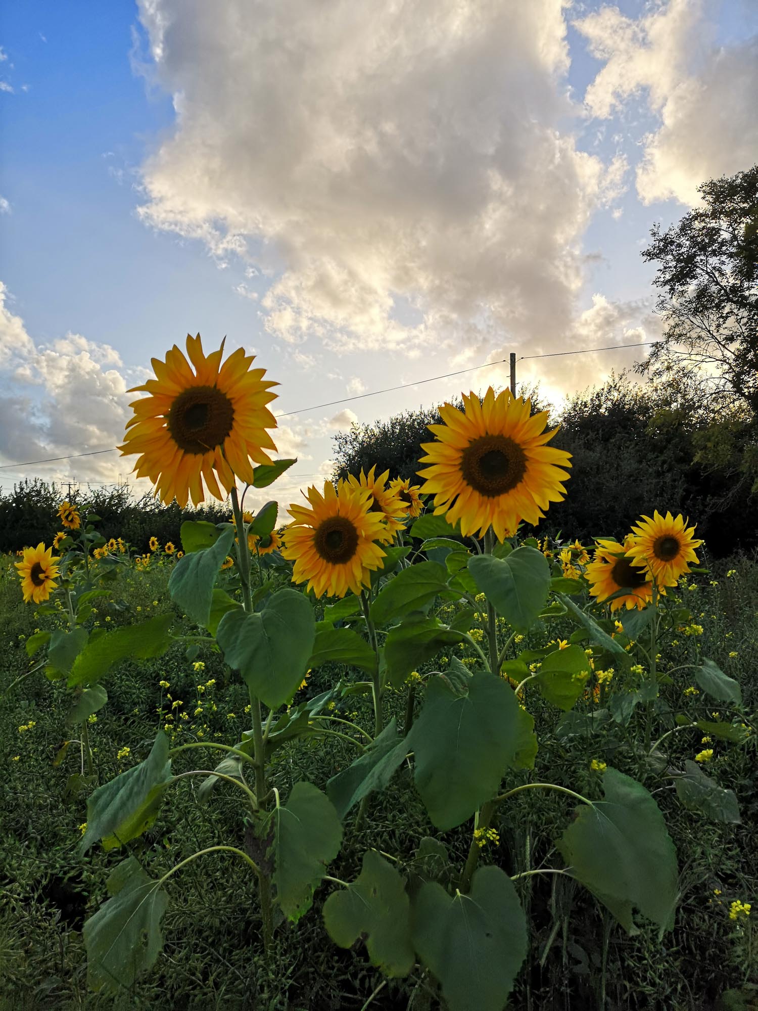 Blogs 2025 (172 of 245)