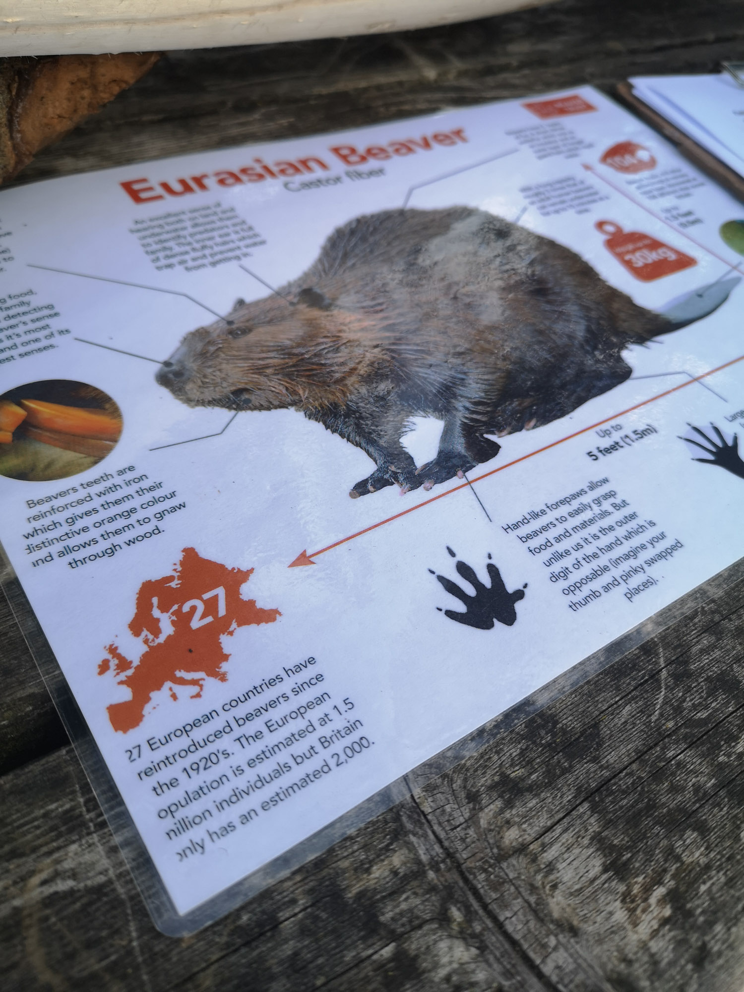 Blogs 2025 (178 of 245)