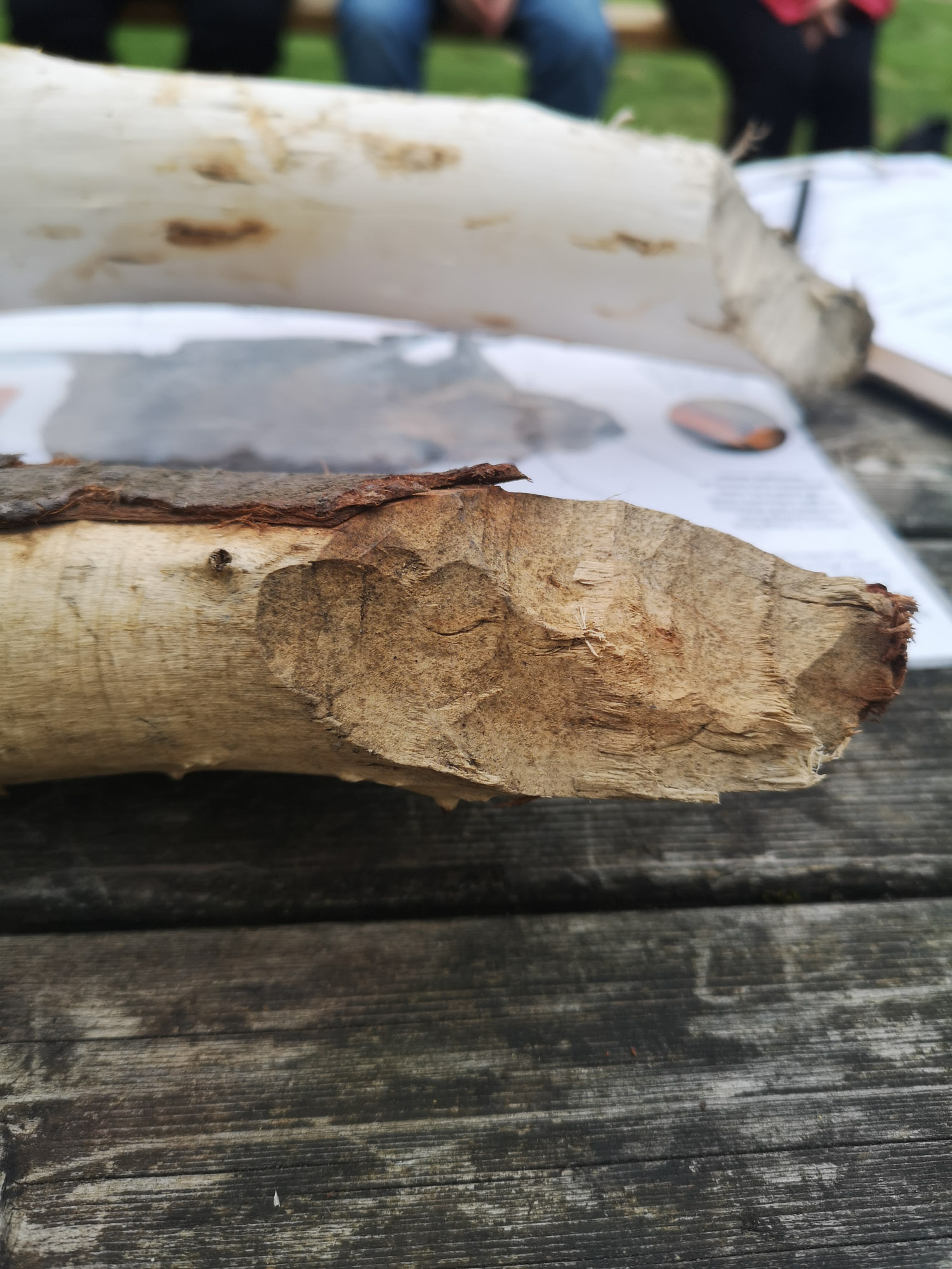 Blogs 2025 (180 of 245)