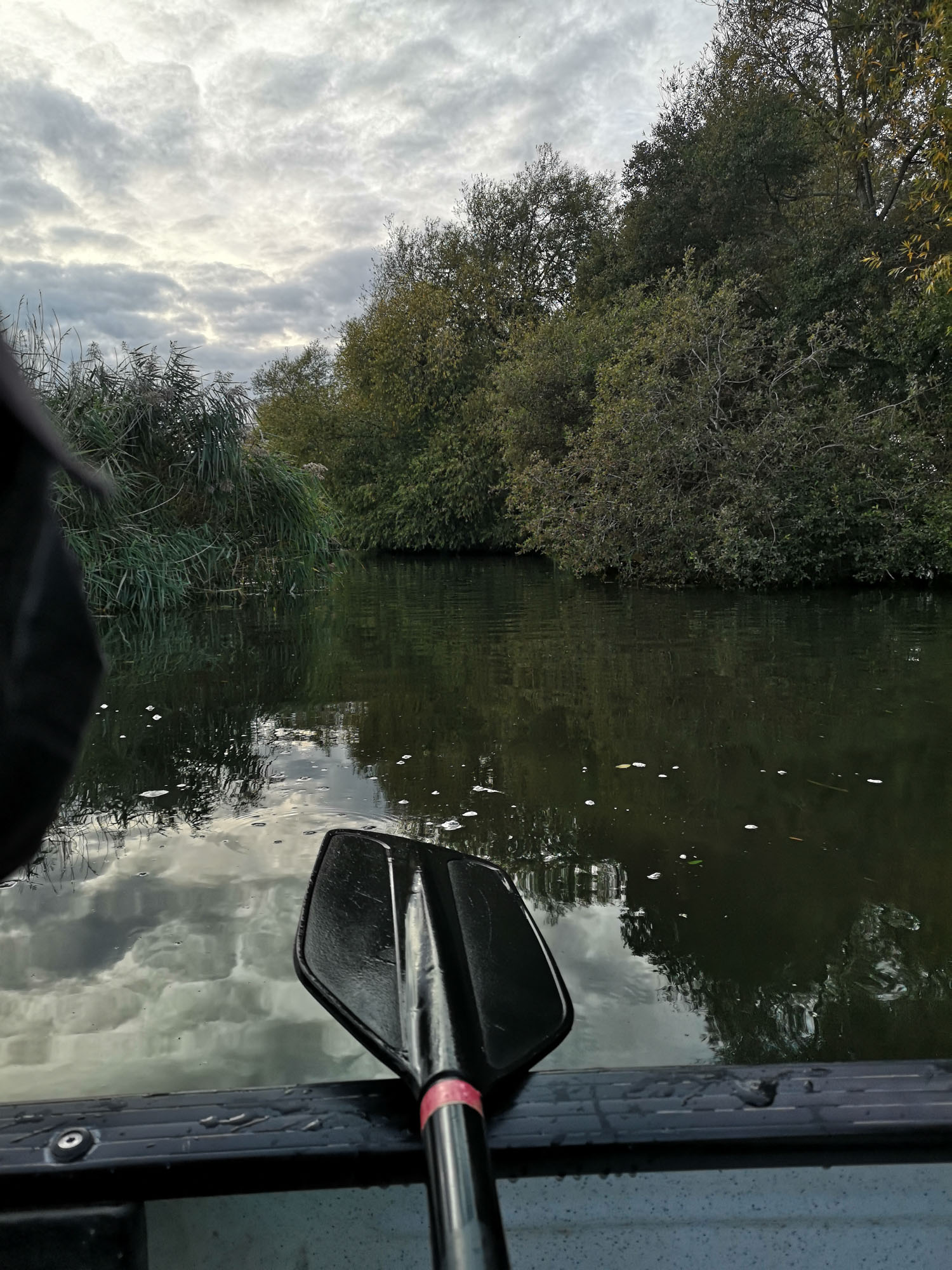 Blogs 2025 (182 of 245)