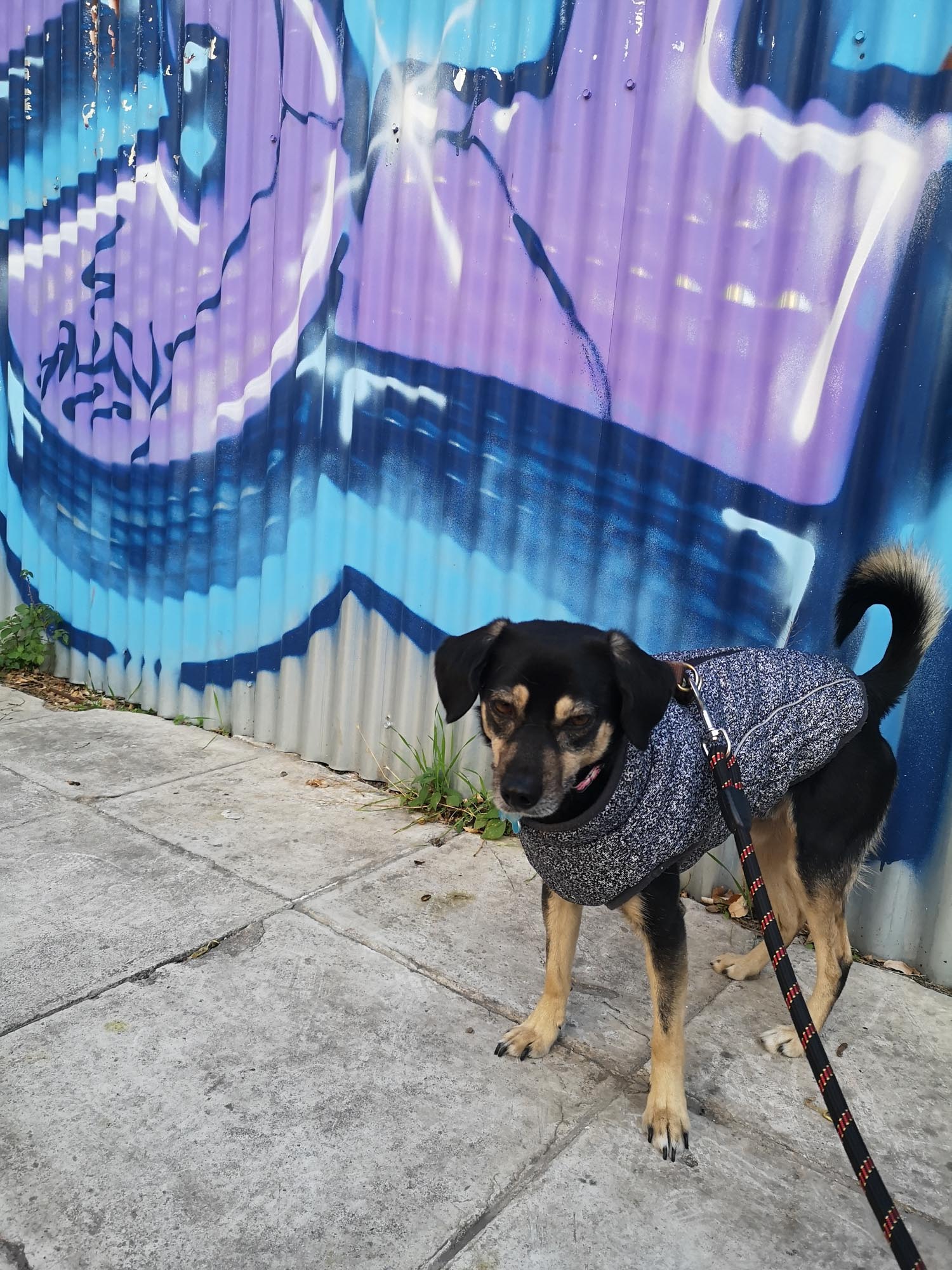 Blogs 2025 (51 of 245)