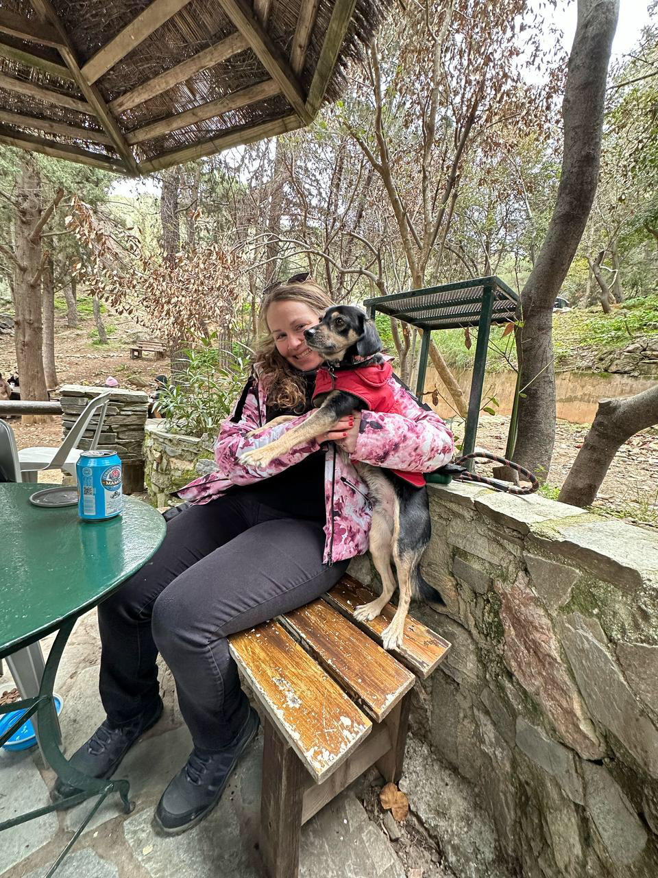 Blogs 2025 (54 of 245)