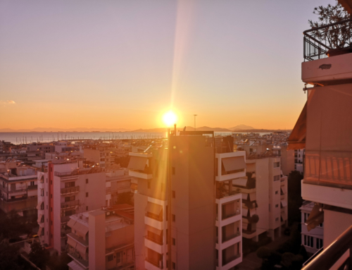 Looking After The Conch