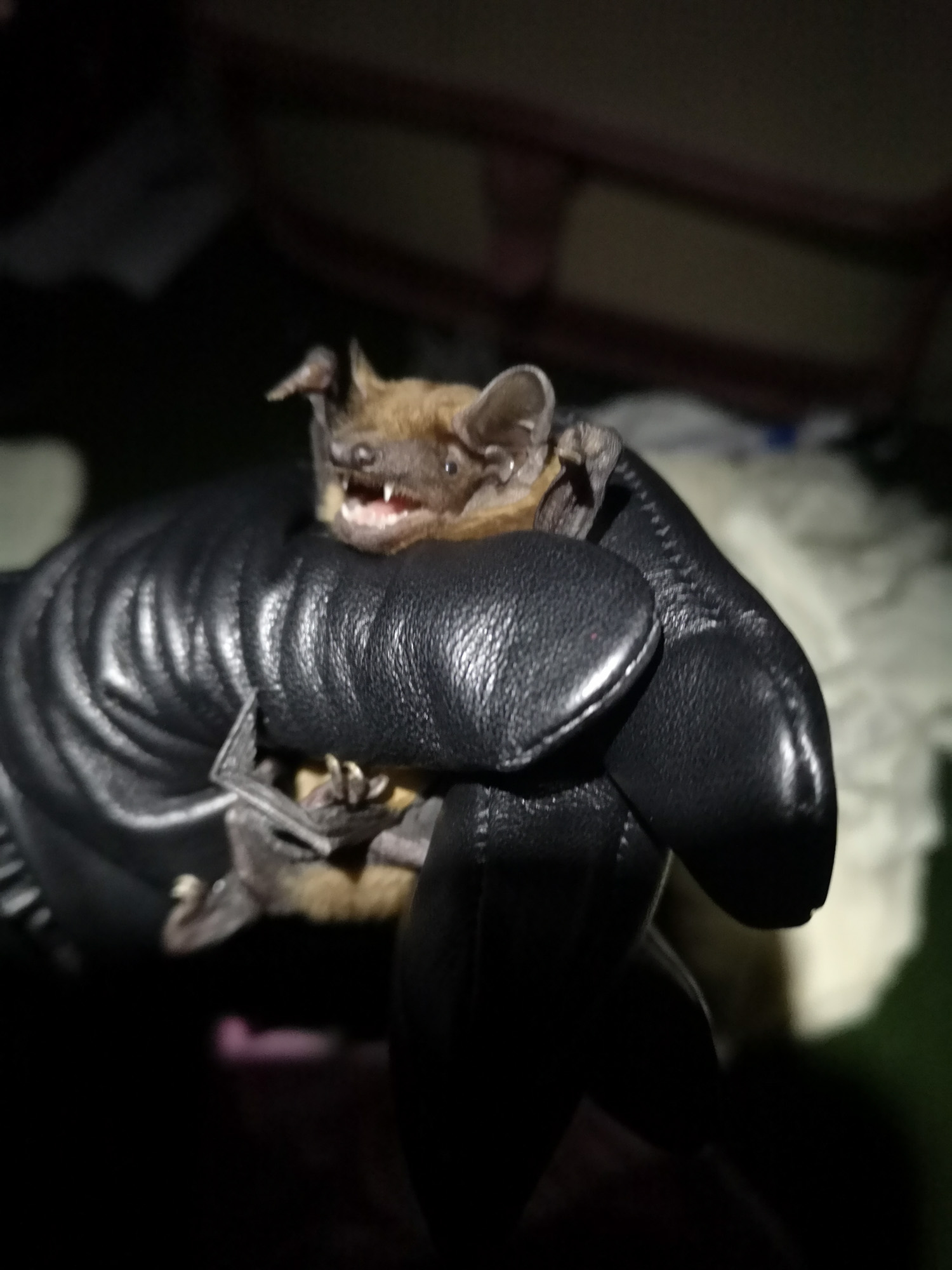 Blogs 2025 (80 of 245)