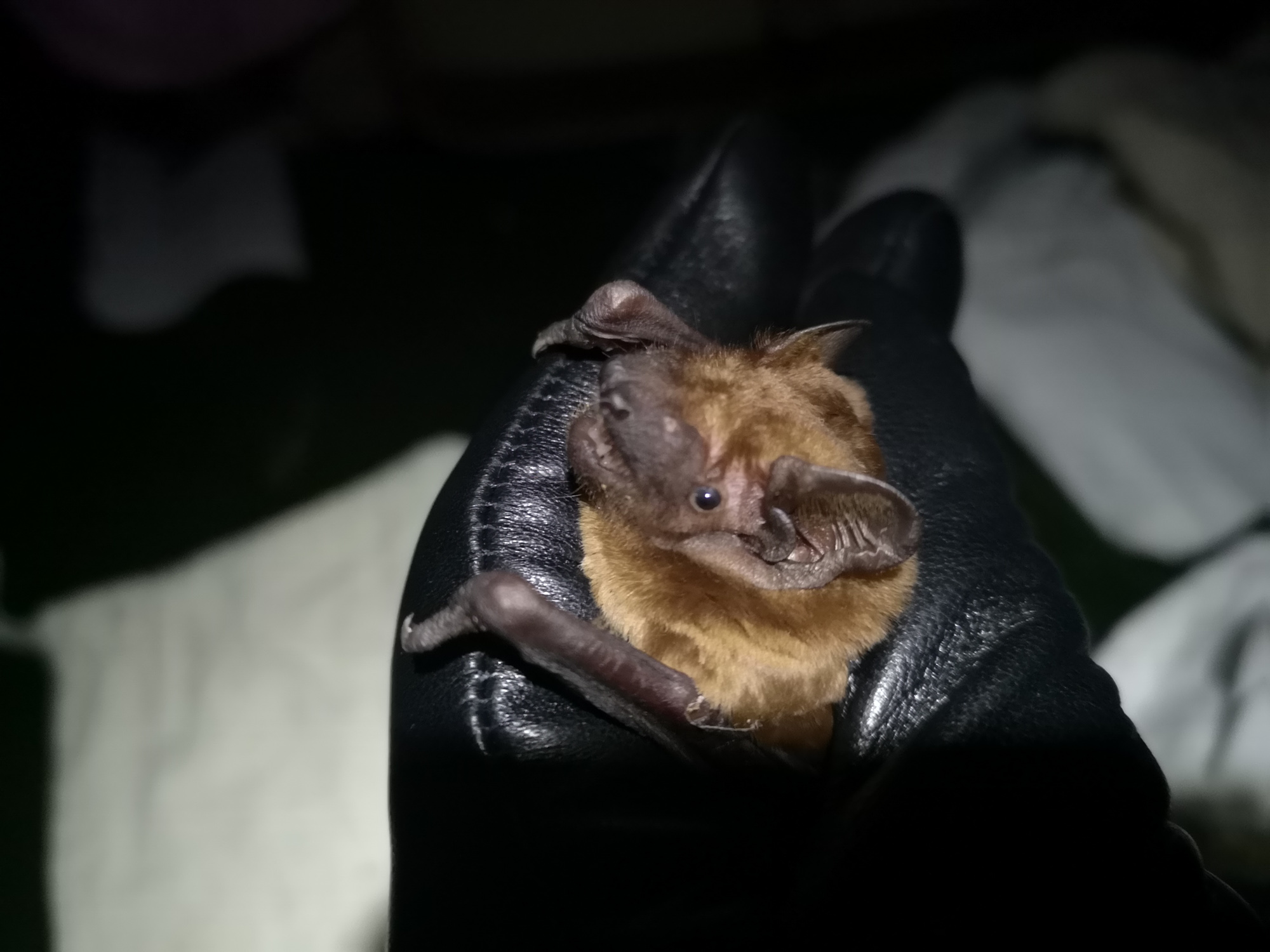 Blogs 2025 (81 of 245)