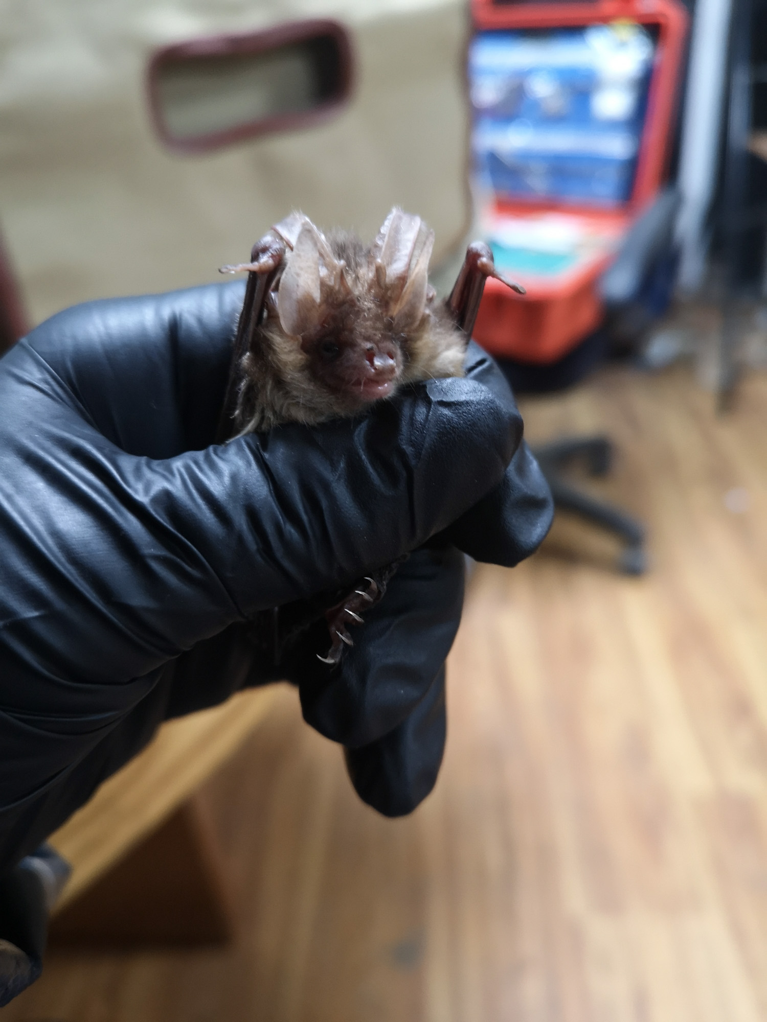 Blogs 2025 (82 of 245)