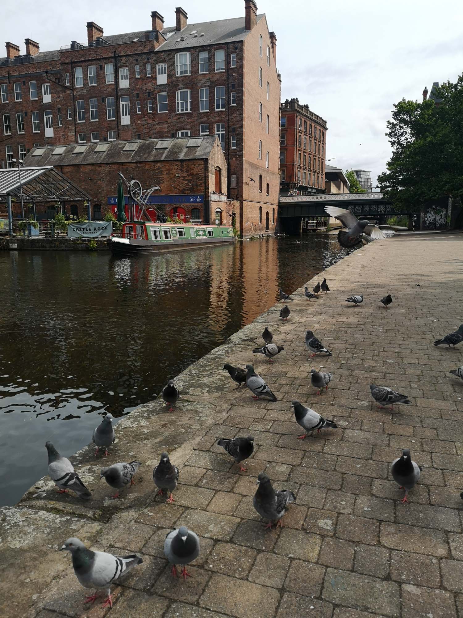 Blogs 2025 (97 of 245)