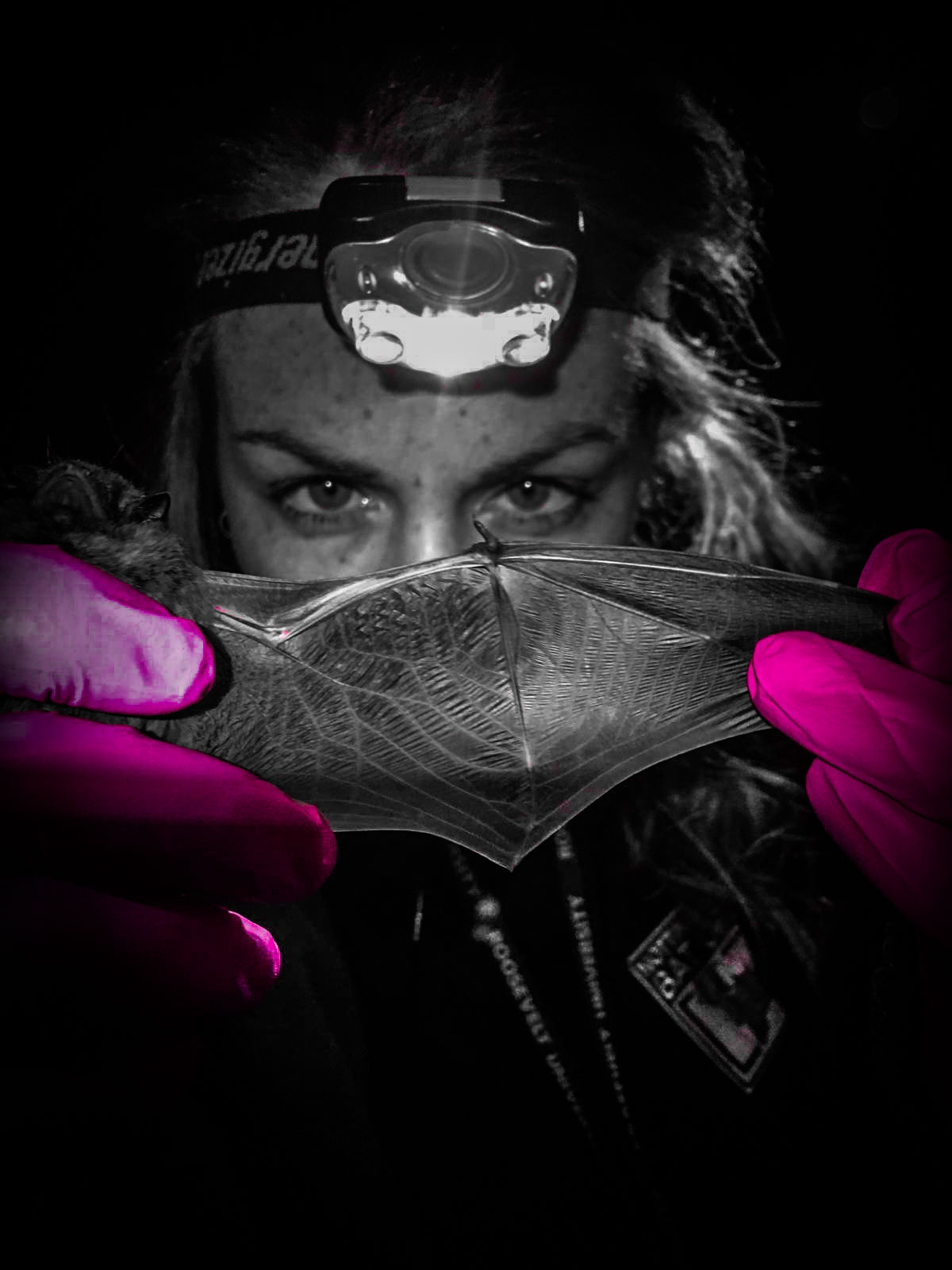 IMG-20180826-WA0007_edited2