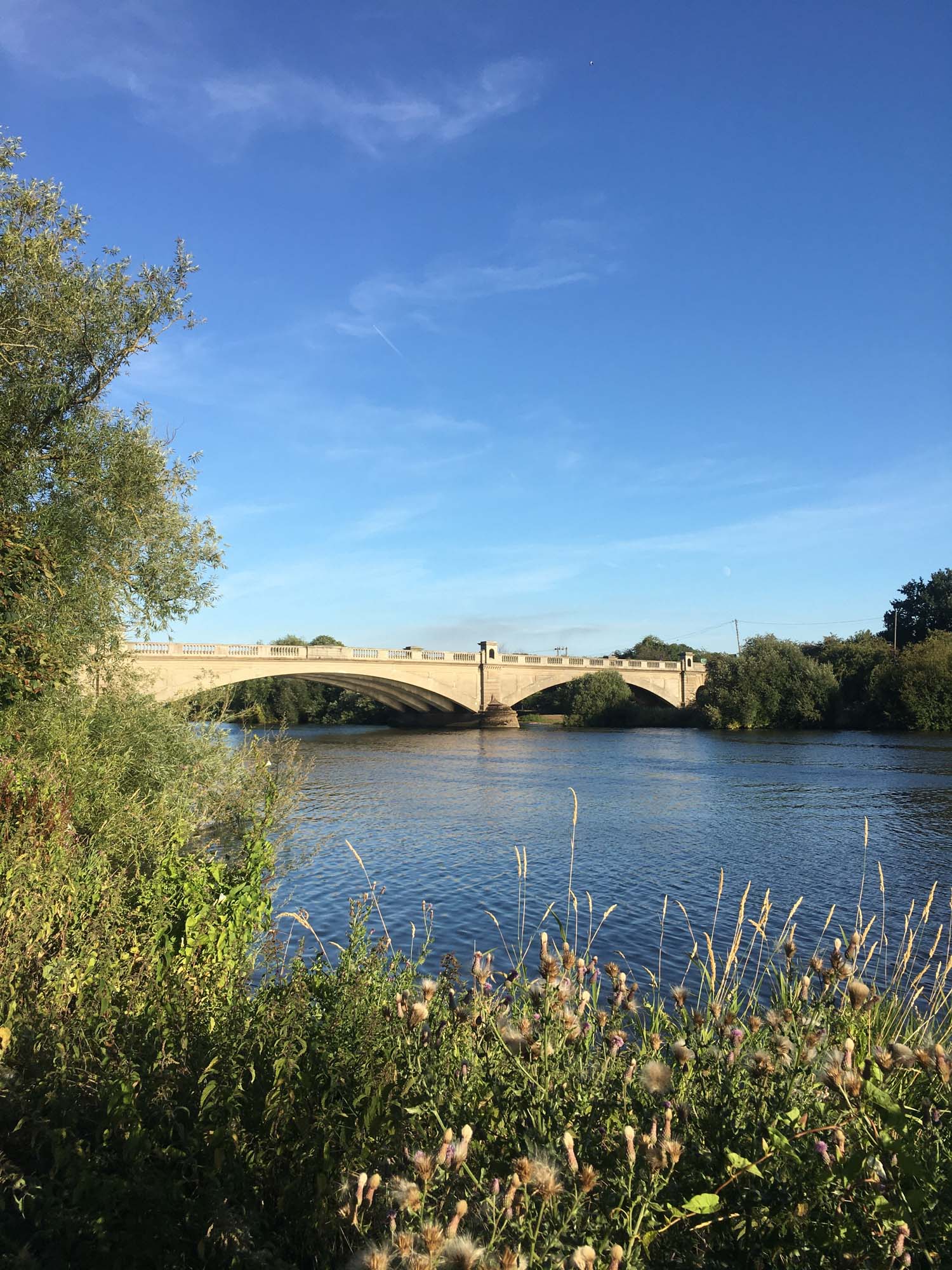 Blogs 2021 (147 of 244)