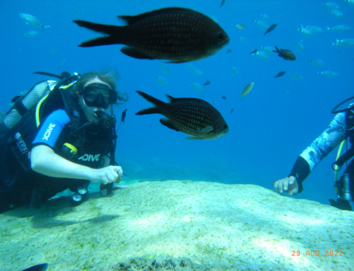 End of Summer Sunshine