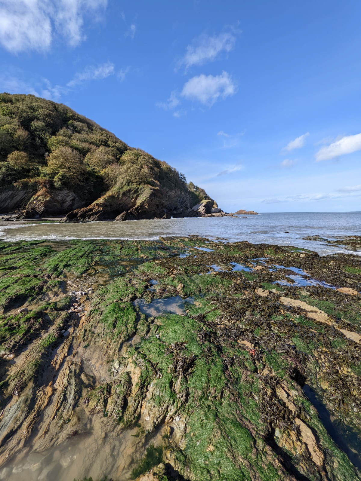 Blogs 2021 (211 of 244)