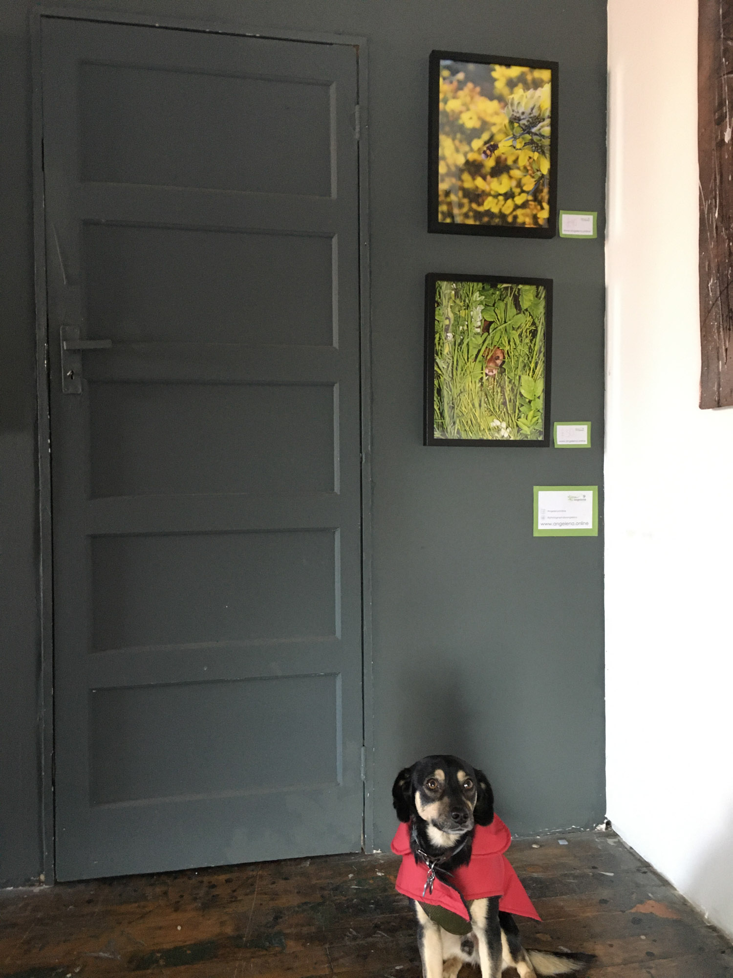 Blogs 2021 (64 of 244)