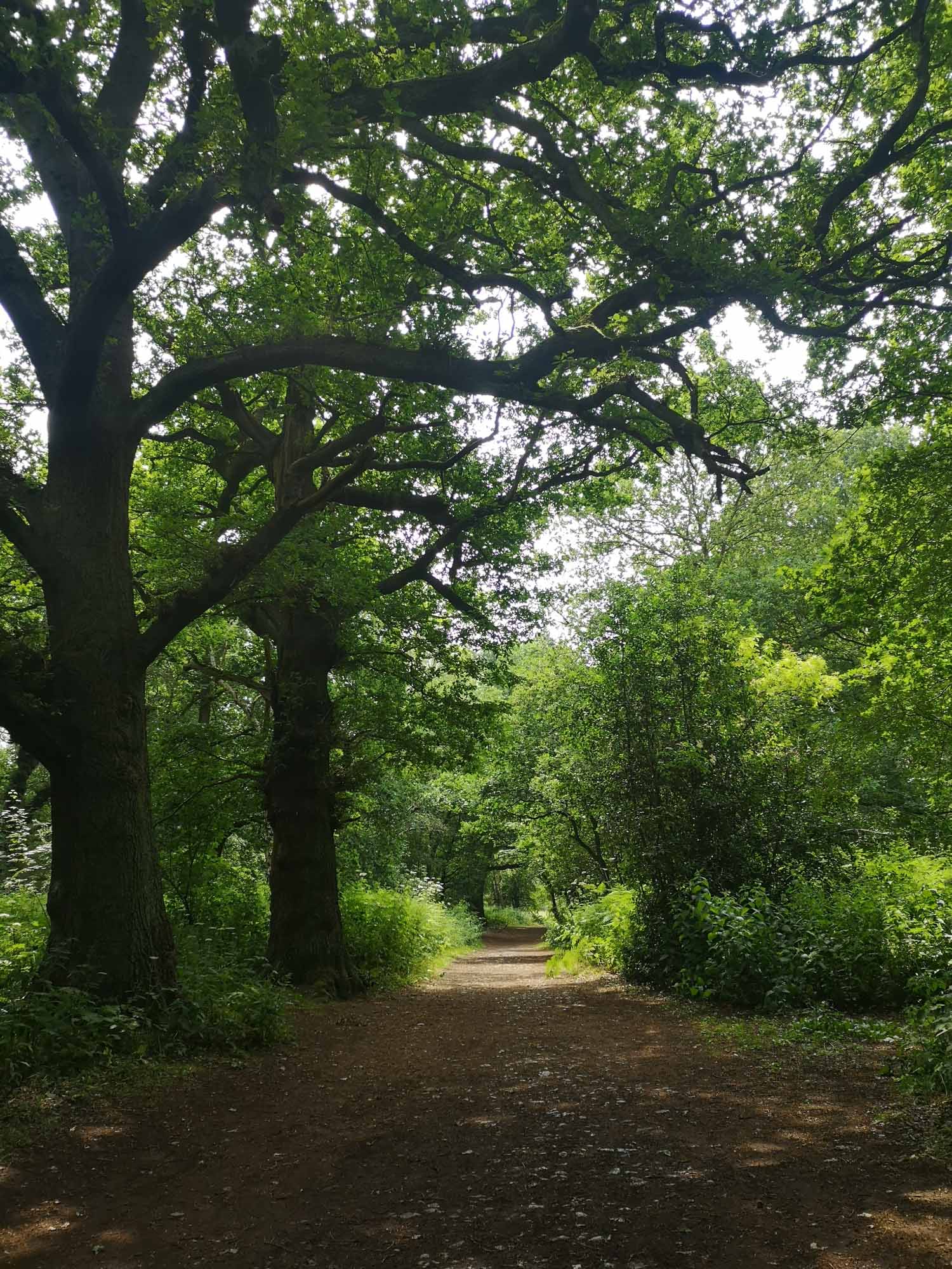 Blogs 2023 (112 of 299)