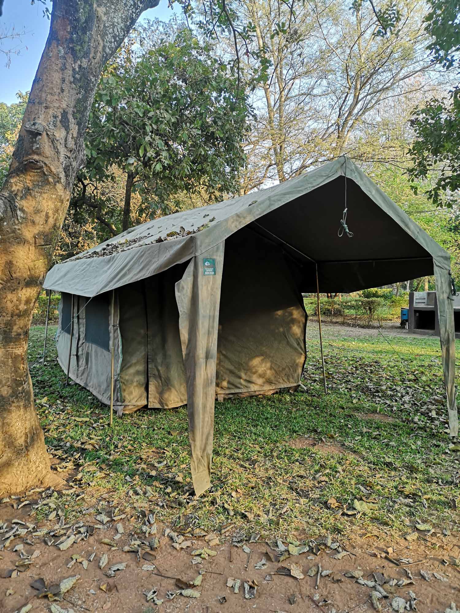 Blogs 2023 (175 of 299)