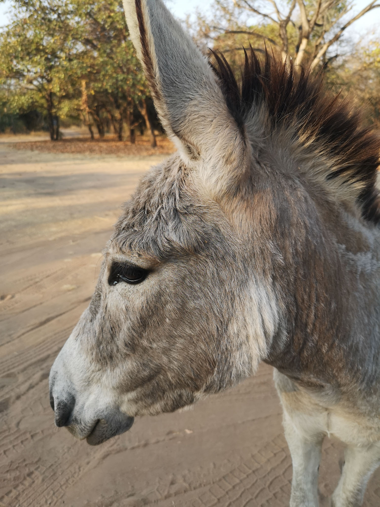 Blogs 2023 (181 of 299)