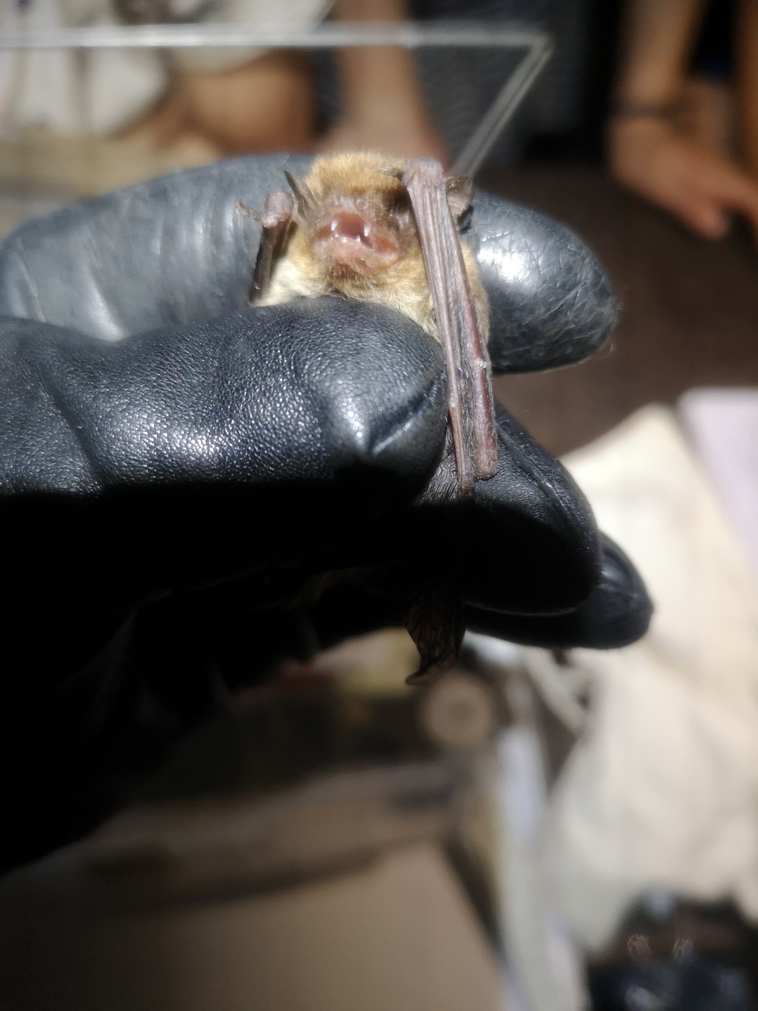 Blogs 2023 (182 of 299)