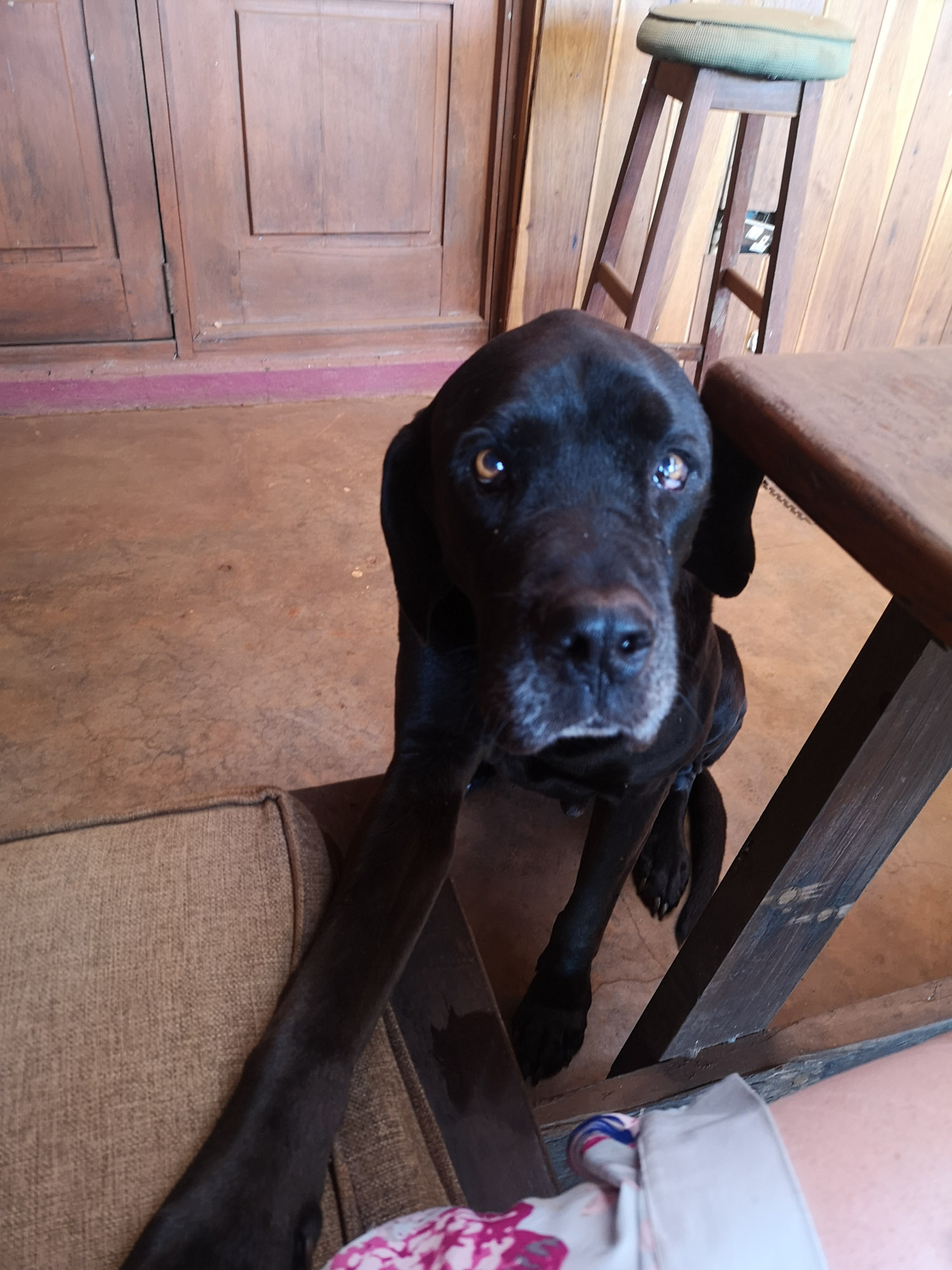 Blogs 2023 (183 of 299)