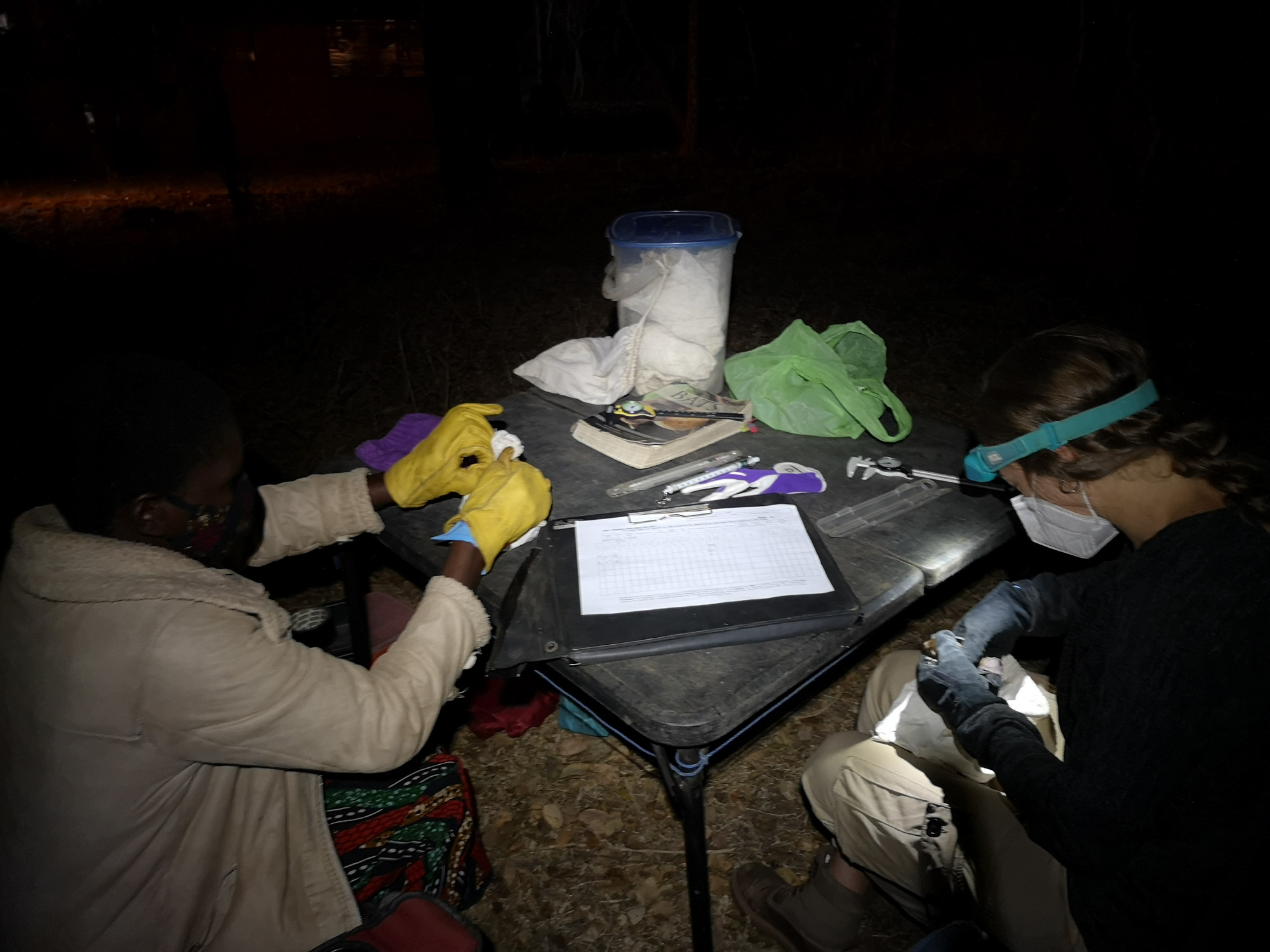 Blogs 2023 (186 of 299)