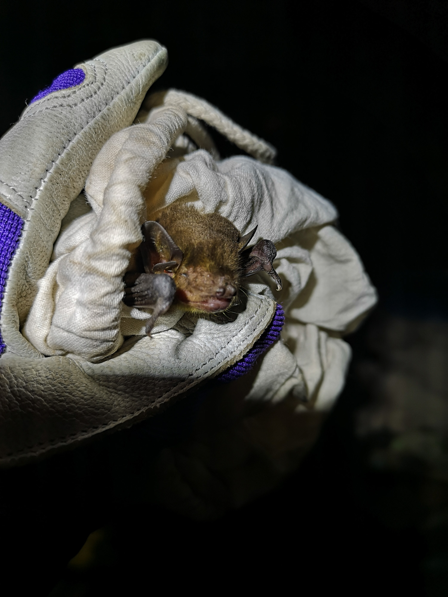 Blogs 2023 (187 of 299)