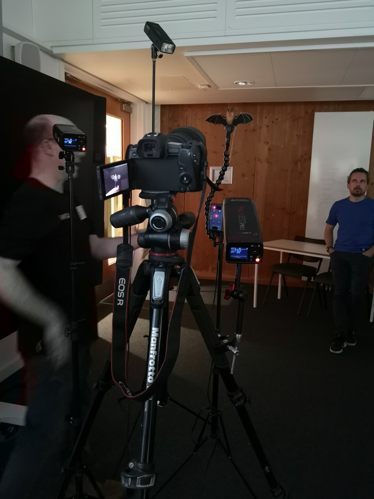 Blogs 2023 (198 of 299)