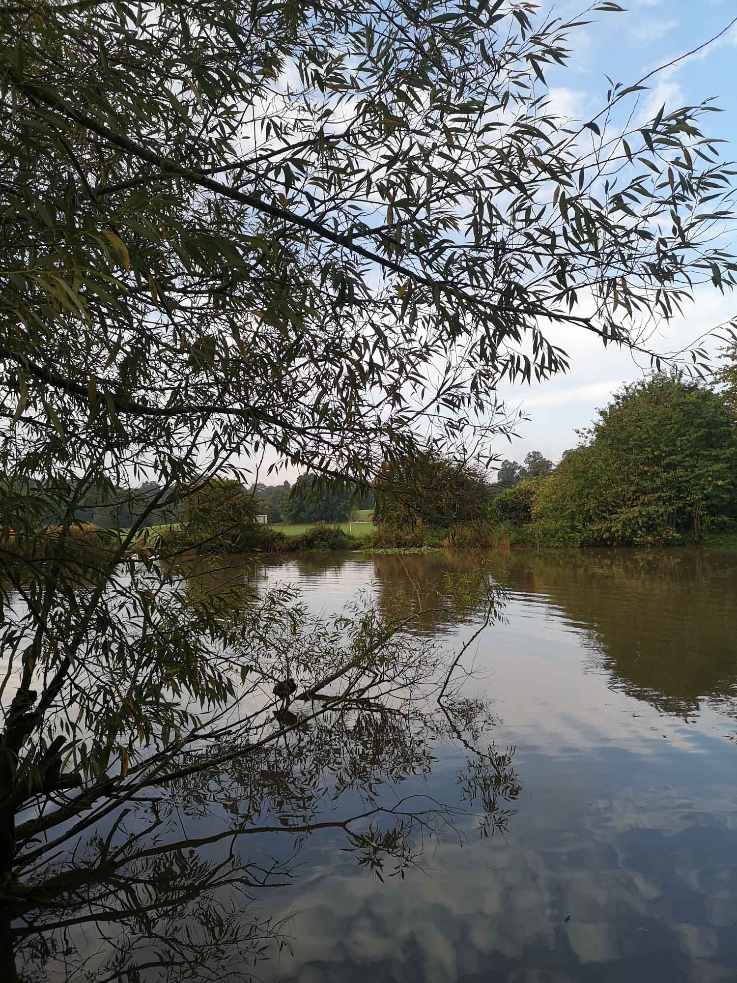 Blogs 2023 (204 of 299)