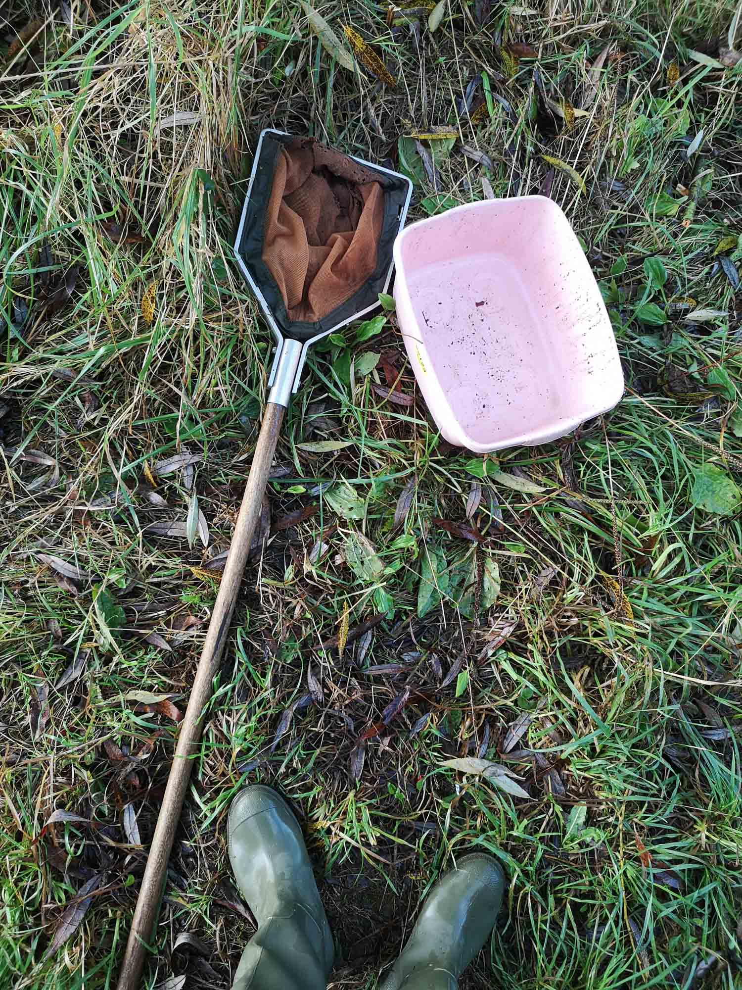 Blogs 2023 (206 of 299)