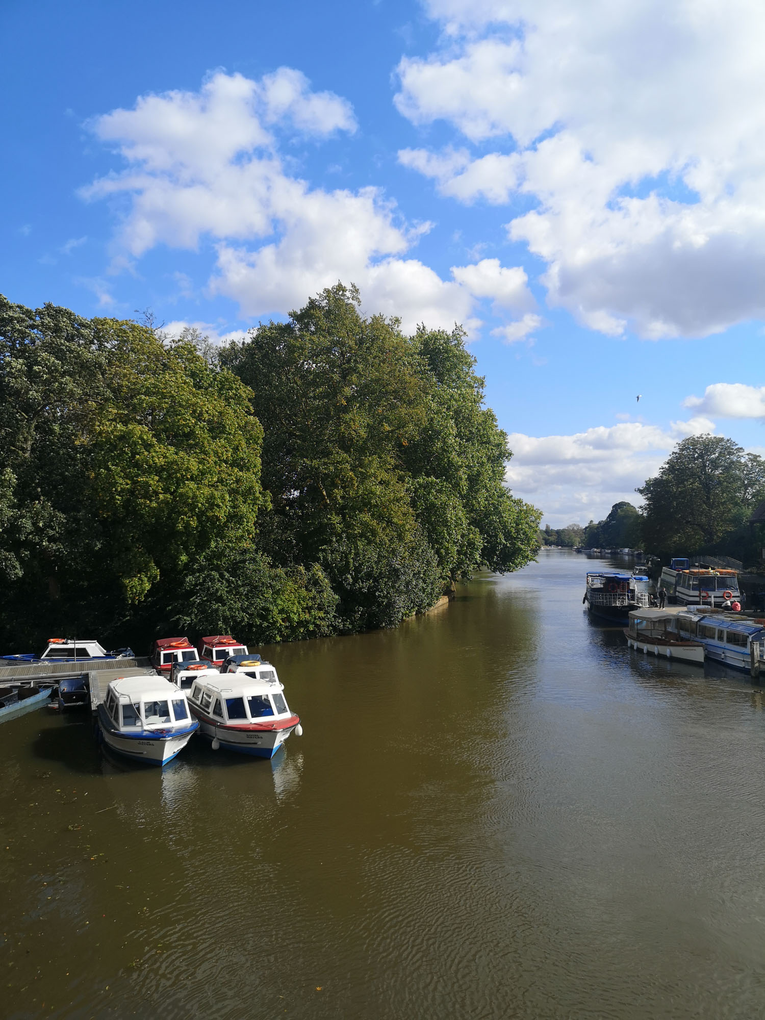 Blogs 2023 (208 of 299)