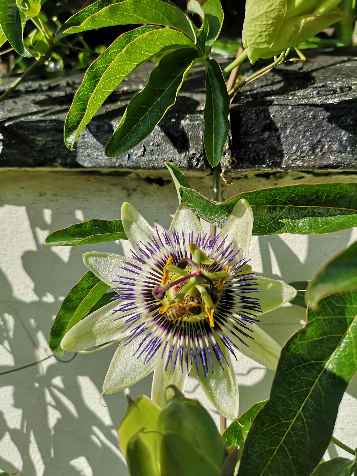 Blogs 2023 (213 of 299)