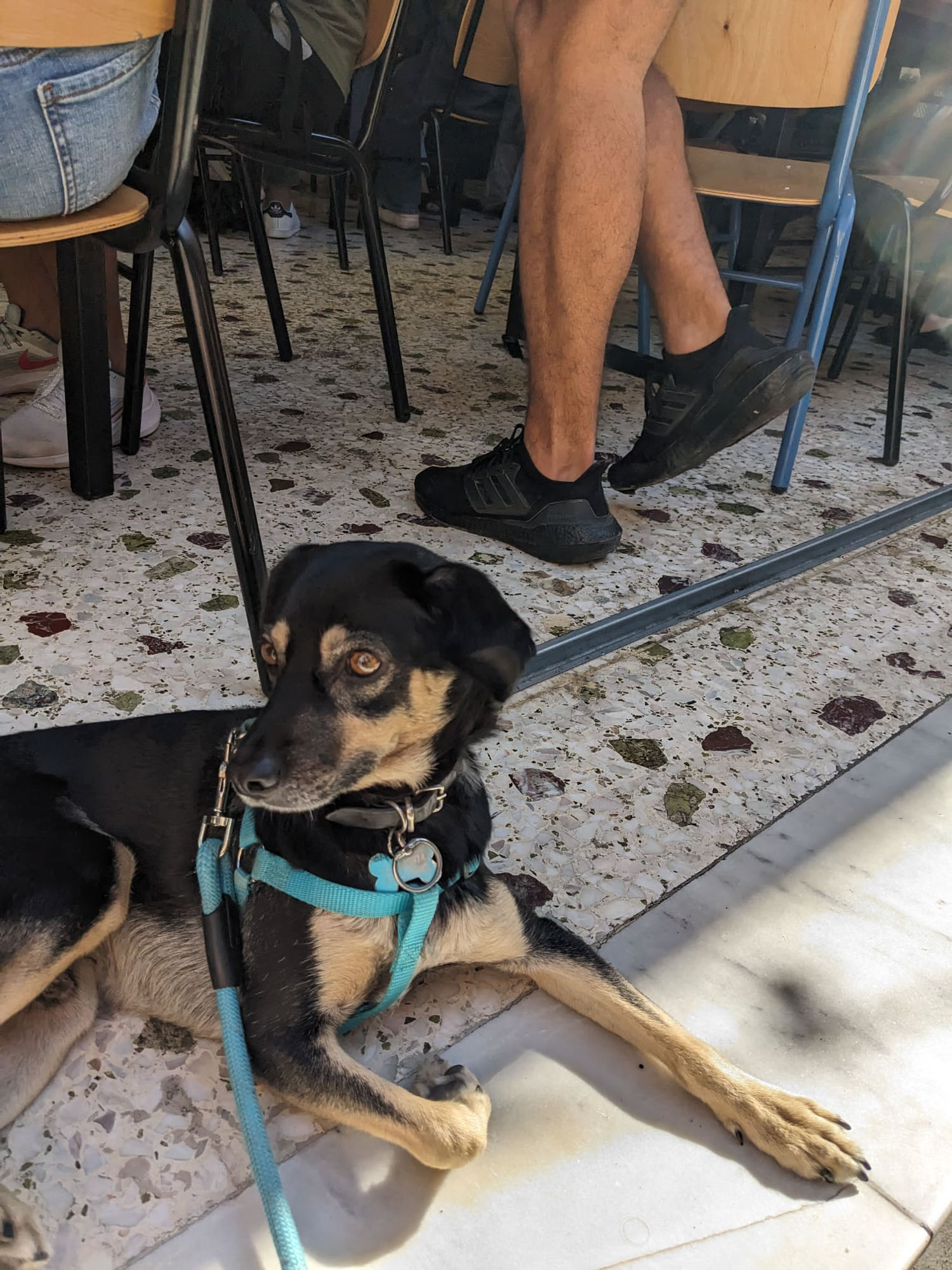 Blogs 2023 (244 of 299)